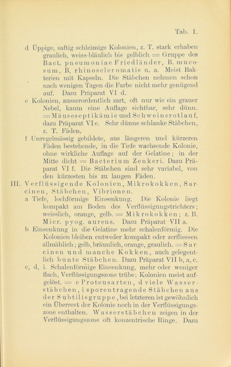 d Üppige, saftig schleimige Kolonien, z. T. stark erhaben graulich, weiss-bläulich bis gelblich = Gruppe des ß act. pneum o n i a e F r ie d 1 än der, ß. mu co- s u m , ß. r li i n o s c 1 e r o m a t i s u. a. Meist Bak- terien mit Kapseln. Die Stäbchen nehmen schon nach wenigen Tagen die Farbe nicht mehr genügend auf. Dazu Präparat VI d. e Kolonien, ausserordentlich zart, oft nur wie ein grauer Nebel, kaum eine Auflage sichtbar, sehr dünn. = Mä us es ept ikäin ie und Sc h wein er otlauf, dazu Präparat VI e. Sehr dünne schlanke Stäbchen, z. T. Fäden. f Unregelmässig gebildete, aus längeren und kürzeren Fäden bestehende, in die Tiefe wachsende Kolonie, ohne wirkliche Auflage auf der Gelatine ; in der Mitte dicht = Bacterium Zenkeri. Dazu Prä- parat VI f. Die Stäbchen sind sehr variabel, von den kürzesten bis zu langen Fäden. III. Verflüssigende Kolonien, Mikrokokken , Sar- einen, Stäbchen, Vibrionen. a Tiefe, lochförmige Einsenkung. Die Kolonie liegt kompakt am Boden des Verflüssigungstrichters; weisslich, orange, gelb. = Mikrokokken ; z. ß. Mi er. pyog. aureus. Dazu Präparat VII a. b Einsenkung in die Gelatine mehr schalenförmig. Die Kolonien bleiben entweder kompakt oder zerfliessen allmählich; gelb, bräunlich, orange, graulich. = S a r- einen und manche Kokken, auch gelegent- lich bunte Stäbchen. Dazu Präparat VII b, a, c. c, d, i. Schalenförmige Einsenkung, mehr oder weniger flach, Verflüssigungszone trübe; Kolonien meist auf- gelöst. = c Proteusarten, d vie 1 e Wasser- stäbchen, i sporentragende Stäbchen aus der Subtilisgruppe, bei letzteren ist gewöhnlich ein Überrest der Kolonie noch in der Verflüssigungs- zone enthalten. Wasser Stäbchen zeigen in der Verflüssigungszone oft konzentrische Ringe. Dazu