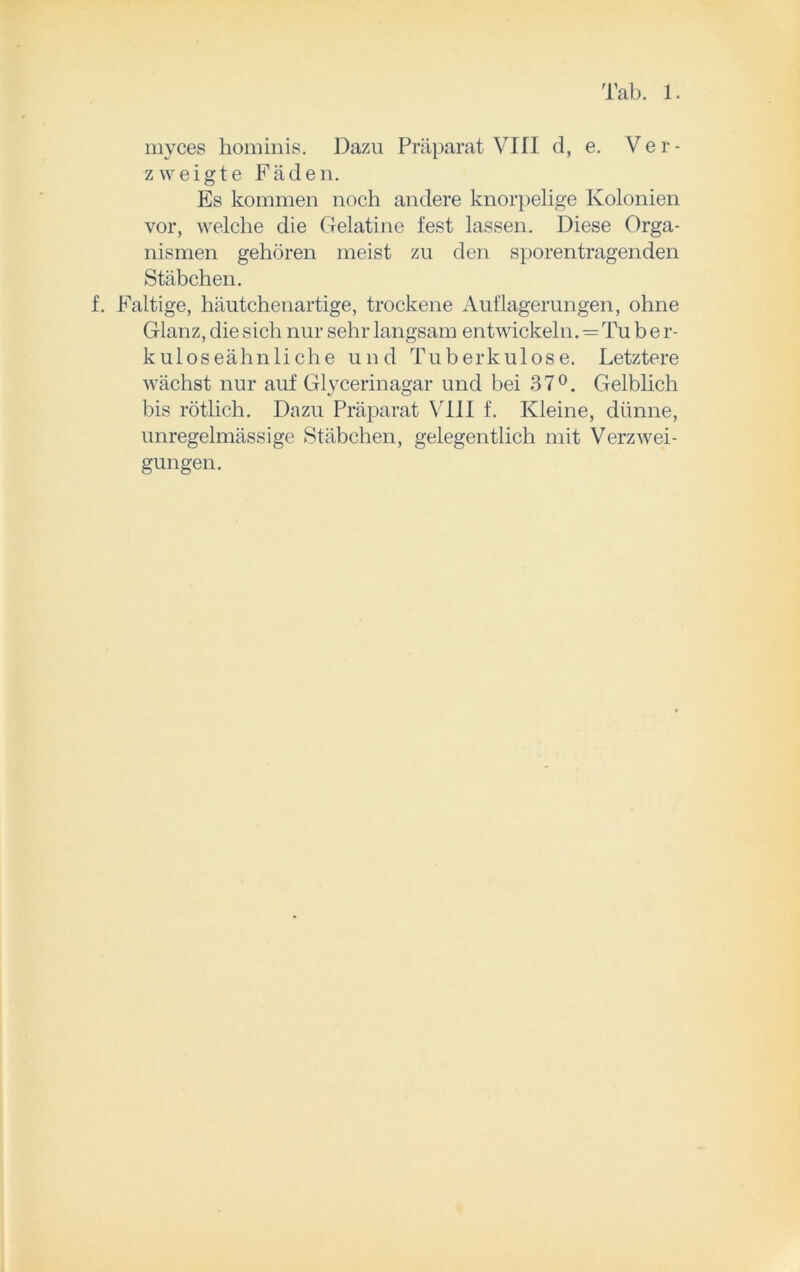 myces hominis. Dazu Präparat VIII d, e. Ver- zweigte Fäden. Es kommen noch andere knorpelige Kolonien vor, welche die Gelatine fest lassen. Diese Orga- nismen gehören meist zu den sporentragenden Stäbchen. f. Faltige, häutchenartige, trockene Auflagerungen, ohne Glanz, die sich nur sehr langsam entwickeln.—Tu b e r- kuloseähnliche und Tuberkulose. Letztere wächst nur auf Glycerinagar und bei 37°. Gelblich bis rötlich. Dazu Präparat VIII f. Kleine, dünne, unregelmässige Stäbchen, gelegentlich mit Verzwei- gungen.