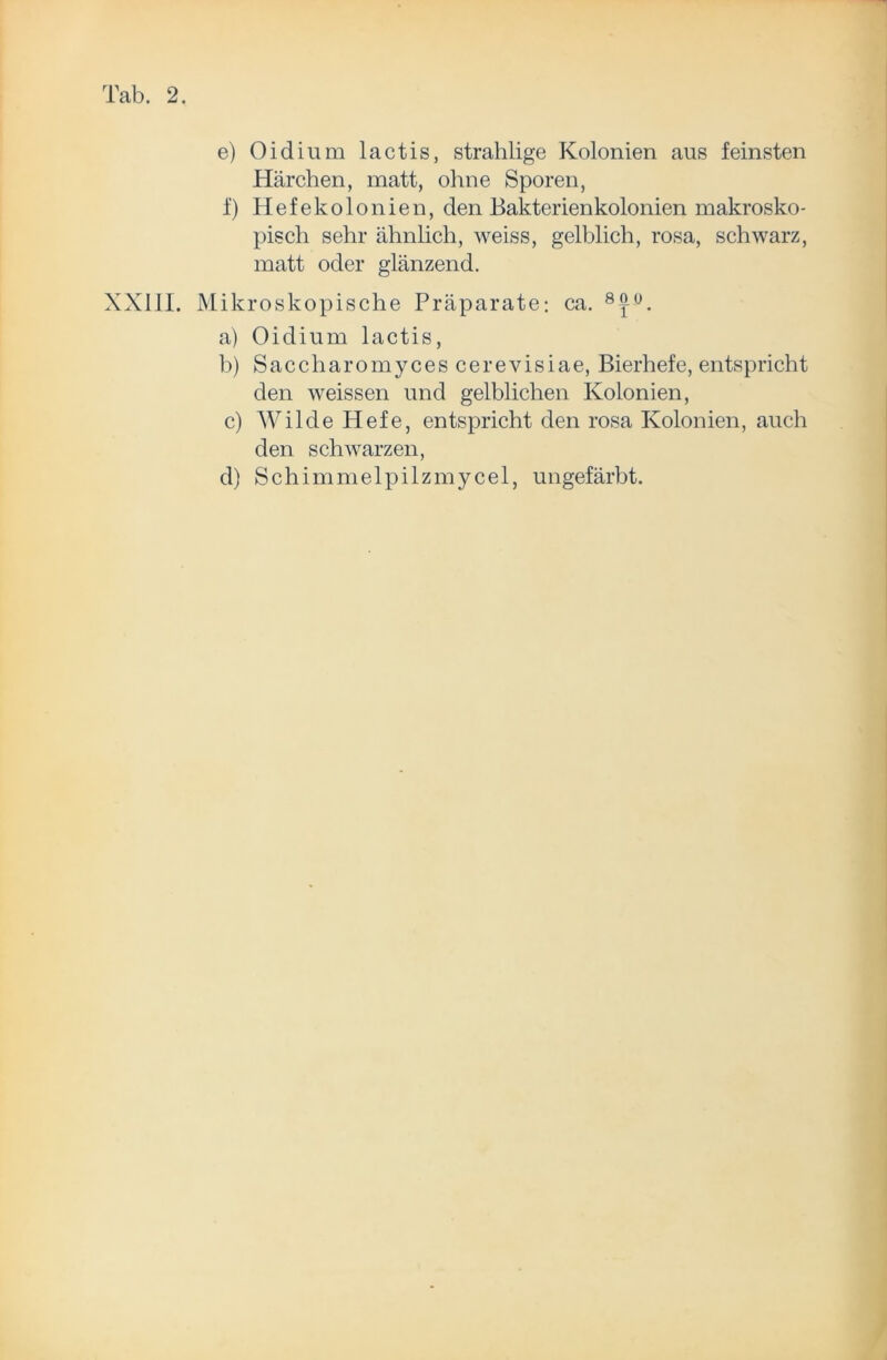 e) Oidium lactis, strahlige Kolonien aus feinsten Härchen, matt, ohne Sporen, f) Hefekolonien, den Bakterienkolonien makrosko- pisch sehr ähnlich, weiss, gelblich, rosa, schwarz, matt oder glänzend. XX11I. Mikroskopische Präparate; ca. 8^°. a) Oidium lactis, b) S a c ch a r o m y c e s c e r e v i s i a e, Bierhefe, entspricht den weissen und gelblichen Kolonien, c) Wilde Hefe, entspricht den rosa Kolonien, auch den schwarzen, d) Schimmelpilzmycel, ungefärbt.