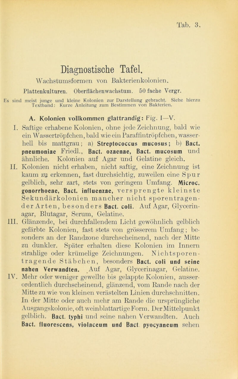 Diagnostische Tafel. Wachstumsformen von Bakterienkolonien. Plattenkulturen. Oberflächen Wachstum. 50 fache Vergr. Es sind meist junge und kleine Kolonien zur Darstellung gebracht. Siehe hierzu Textband: Kurze Anleitung zum Bestimmen von Bakterien. A. Kolonien vollkommen glattrandig: Fig. I—V. I. Saftige erhabene Kolonien, ohne jede Zeichnung, bald wie ein Wassertröpfchen, bald wie ein Baraffintröpfchen, wasser- hell bis mattgrau; a) Streptococcus mucosus; b) Bact. pneumoniae Friedl., Bact. ozaenae, Bact. mucosum und ähnliche. Kolonien auf Agar und Gelatine gleich. II. Kolonien nicht erhaben, nicht saftig, eine Zeichnung ist kaum zu erkennen, fast durchsichtig, zuweilen eine Spur gelblich, sehr zart, stets von geringem Umfang. Microc. gonorrhoeae, Bact. influenzae, versprengte kleinste Sekundärkolonien mancher nicht sporentragen- der Arten, besonders Bact. coli. Auf Agar, Glycerin- agar, Blutagar, Serum, Gelatine. III. Glänzende, bei durchfallendem Licht gewöhnlich gelblich gefärbte Kolonien, fast stets von grösserem Umfang; be- sonders an der Bandzone durchscheinend, nach der Mitte zu dunkler. Später erhalten diese Kolonien im Innern strahlige oder krümelige Zeichnungen. Nichts poren - tragende Stäbchen, besonders Bact. coli und seine nahen Verwandten. Auf Agar, Glycerinagar, Gelatine. IV. Mehr oder weniger gewellte bis gelappte Kolonien, ausser- ordentlich durchscheinend, glänzend, vom Rande nach der Mitte zu wie von kleinen verästelten Linien durchschnitten. In der Mitte oder auch mehr am Rande die ursprüngliche Ausgangskolonie, oft weinblattartige Form. Der Mittelpunkt gelblich. Bact. typhi und seine nahen Verwandten. Auch Bact. fluorescens, violaceum und Bact pyocyaneum sehen