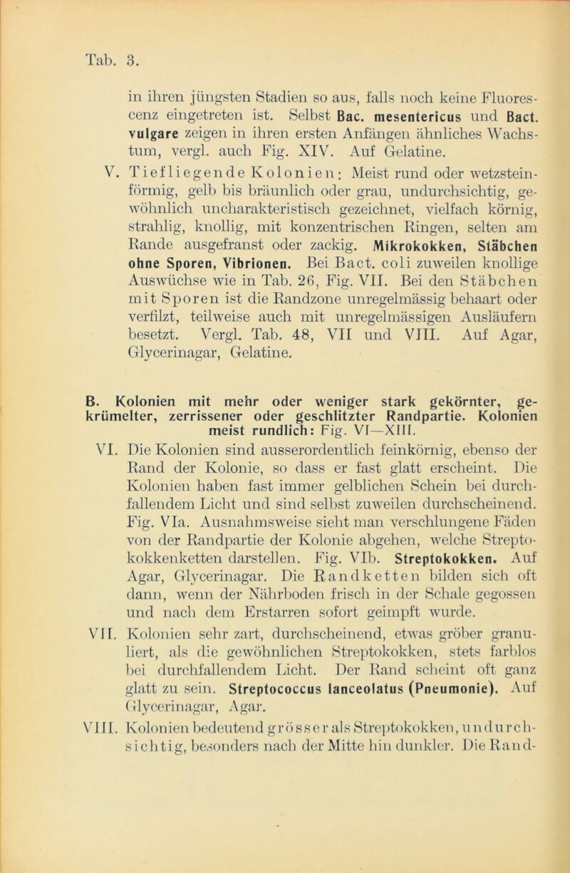 in ihren jüngsten Stadien so aus, falls noch keine Fluores- cenz eingetreten ist. Selbst Bac. niesentericus und Bact. vulgare zeigen in ihren ersten Anfängen ähnliches Wachs- tum, vergl. auch Fig. XIV. Auf Gelatine. V. TiefliegendeKolonien; Meist rund oder wetzstein- förmig, gelb bis bräunlich oder grau, undurchsichtig, ge- wöhnlich uncharakteristisch gezeichnet, vielfach körnig, strahlig, knollig, mit konzentrischen Ringen, selten am Rande ausgefranst oder zackig. Mikro kok ken, Stäbchen ohne Sporen, Vibrionen. Bei Bact. coli zuweilen knollige Auswüchse wie in Tab. 26, Fig. VII. Bei den Stäbchen mit Sporen ist die Randzone unregelmässig behaart oder verfilzt, teilweise auch mit unregelmässigen Ausläufern besetzt. Vergl. Tab. 48, VII und VIII. Auf Agar, Glycerinagar, Gelatine. B. Kolonien mit mehr oder weniger stark gekörnter, ge- krümelter, zerrissener oder geschlitzter Randpartie. Kolonien meist rundlich: Fig. VI—XIII. VI. Die Kolonien sind ausserordentlich feinkörnig, ebenso der Rand der Kolonie, so dass er fast glatt erscheint. Die Kolonien haben fast immer gelblichen Schein bei durch- fallendem Licht und sind selbst zuweilen durchscheinend. Fig. Via. Ausnahmsweise sieht man verschlungene Fäden von der Randpartie der Kolonie abgehen, welche Strepto- kokkenketten darstellen. Fig. VIb. Streptokokken. Auf Agar, Glycerinagar. Die Rand ketten bilden sich oft dann, wenn der Nährboden frisch in der Schale gegossen und nach dem Erstarren sofort geimpft wurde. VH. Kolonien sehr zart, durchscheinend, etwas gröber granu- liert, als die gewöhnlichen Streptokokken, stets farblos bei durchfallendem Licht. Der Rand scheint oft ganz glatt zu sein. Streptococcus lanceolatus (Pneumonie). Auf Glycerinagar, Agar. VI11. Kolonien bedeutend grösser als Streptokokken, undurch- sichtig, besonders nach der Mitte hin dunkler. Die Rand-