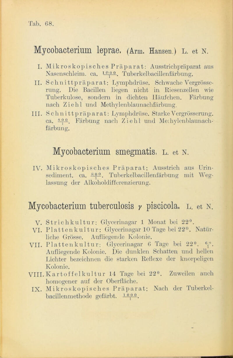 Mycobacterium leprae. (Arm, Hansen.) l. et n. I. Mikroskopisches Präparat: Ausstrichpräparat aus Nasenschleim, ca. 1 °1° °. Tuberkelbacillenfärbung. II. Schnitt präparat: LymphcLrüse. Schwache Vergrösse- rung. Die Bacillen liegen nicht in Riesenzellen wie Tuberkulose, sondern in dichten Häufchen. Färbung nach Ziehl und Methylenblaunachfärbung. III. Schnittpräparat: Lymphdriise. StarkeVergrösserung. ca. 5^1. Färbung nach Ziehl und Meihylenblaunach- färbung. Mycobacterium smegmatis, l. et n. IV. Mikroskopisches Präparat: Ausstrich aus Urin- sediment. ca. -S-öA. Tuberkelbacillenfärbung mit Weg- lassung der Alkoholdifferenzierung. Mycobacterium tuberculosis y piscicola. l. et n. V. Strichkultur: Glycerinagar 1 Monat bei 22°. VI. Plattenkultur: Glycerinagar 10 Tage bei 22°. Natür- liche Grösse. Auf liegende Kolonie. VII. Plattenkultur: Glycerinagar 6 Tage bei 22°. y. Aufliegende Kolonie. Die dunklen Schatten und hellen Lichter bezeichnen die starken Reflexe der knorpeligen Kolonie. VIII. Kartoffelkultur 14 Tage bei 22°. Zuweilen auch homogener auf der Oberfläche. IX. Mikroskopisches Präparat: Nach der Tuberkel- bacillenmethode gefärbt. 1 °,° °.