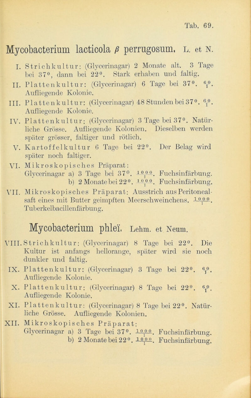 Mycobacterium lacticola ß perrugosum, l. et n. I. Strichkultur: (Glycerinagar) 2 Monate alt. 3 Tage bei 37°, dann bei 22°. Stark erhaben und faltig. II. Plattenkultur: (Glycerinagar) 6 Tage bei 37°. Gr°. Aufliegende Kolonie. III. Platte nkultur: (Glycerinagar) 4 8 Stunden bei 3 7 0. 6f°. Aufliegende Kolonie. IV. Plattenkultur: (Glycerinagar) 3 Tage bei 370. Natür- liche Grösse. Aufliegende Kolonien. Dieselben werden später grösser, faltiger und rötlich. V. Kartoffelkultur 6 Tage bei 22°. Der Belag wird später noch faltiger. VI. Mikroskopisches Präparat: Glycerinagar a) 3 Tage bei 37°. 1 °1° °. Fuchsinfärbung. b) 2 Monate bei 22°. Tjö Q o # Fuchsinfärbung. VII. Mikroskopisches Präparat: Ausstrich aus Peritoneal- saft eines mit Butter geimpften Meerschweinchens. -1 °1° 0. Tuberkelbacillenfärbung. Mycobacterium phlei, Lehm, et Neum. VIII. Strichkultur: (Glycerinagar) 8 Tage bei 22°. Die Kultur ist anfangs hellorange, später wird sie noch dunkler und faltig. IX. Plattenkultur: (Glycerinagar) 3 Tage bei 22°. 6T°. Aufliegende Kolonie. X. Plattenkultur: (Glycerinagar) 8 Tage bei 22°. 6r°. Aufliegende Kolonie. XI. Plattenkultur: (Glycerinagar) 8 Tage bei 22°. Natür- liche Grösse. Aufhegende Kolonien. XII. Mikroskopisches Präparat: Glycerinagar a) 3 Tage bei 37°. 1 °]°0. Fuchsinfärbung. b) 2 Monate bei 22 0. -AQ-O ». Fuchsinfärbung.