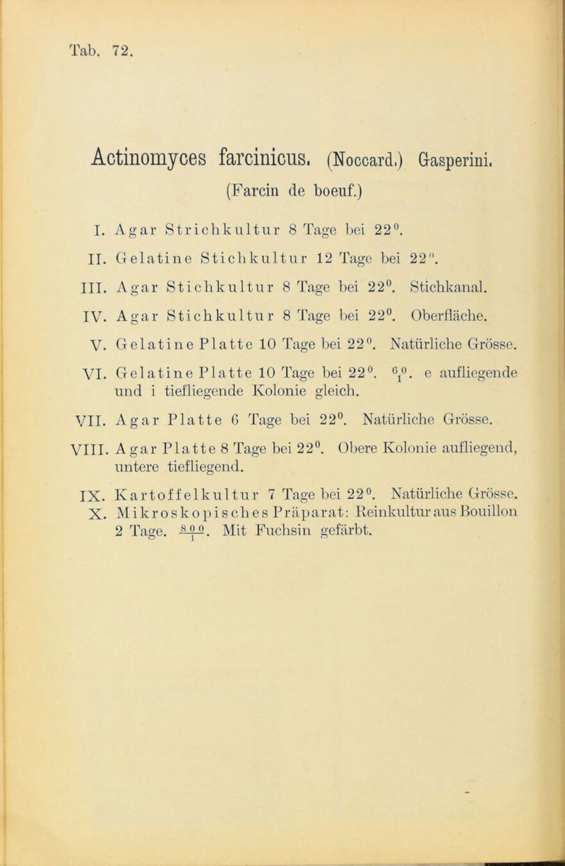 Actinomyces farcinicus. (Noecard.) Gasperini, (Farcin de boeuf.) I. Agar Strichkultur 8 Tage bei 22°. II. Gelatine Stichkultur 12 Tage bei 22. III. Agar Stichkultur 8 Tage bei 22°. Stichkanal. IV. Agar Stichkultur 8 Tage bei 22°. Oberfläche. V. Gelatine Platte 10 Tage bei 22°. Natürliche Grösse. VI. Gelatine Platte 10 Tage bei 22°. 61°. e aufliegende und i tiefliegende Kolonie gleich. VII. Agar Platte 6 Tage bei 22°. Natürliche Grösse. VIII. A gar Platte 8 Tage bei 22°. Obere Kolonie aufliegend, untere tiefliegend. IX. Kartoffelkultur 7 Tage bei 22°. Natürliche Grösse. X. Mikroskopisches? räparat: Reinkultur aus Bouillon 2 Tage. ^-2-2. Mit Fuchsin gefärbt.