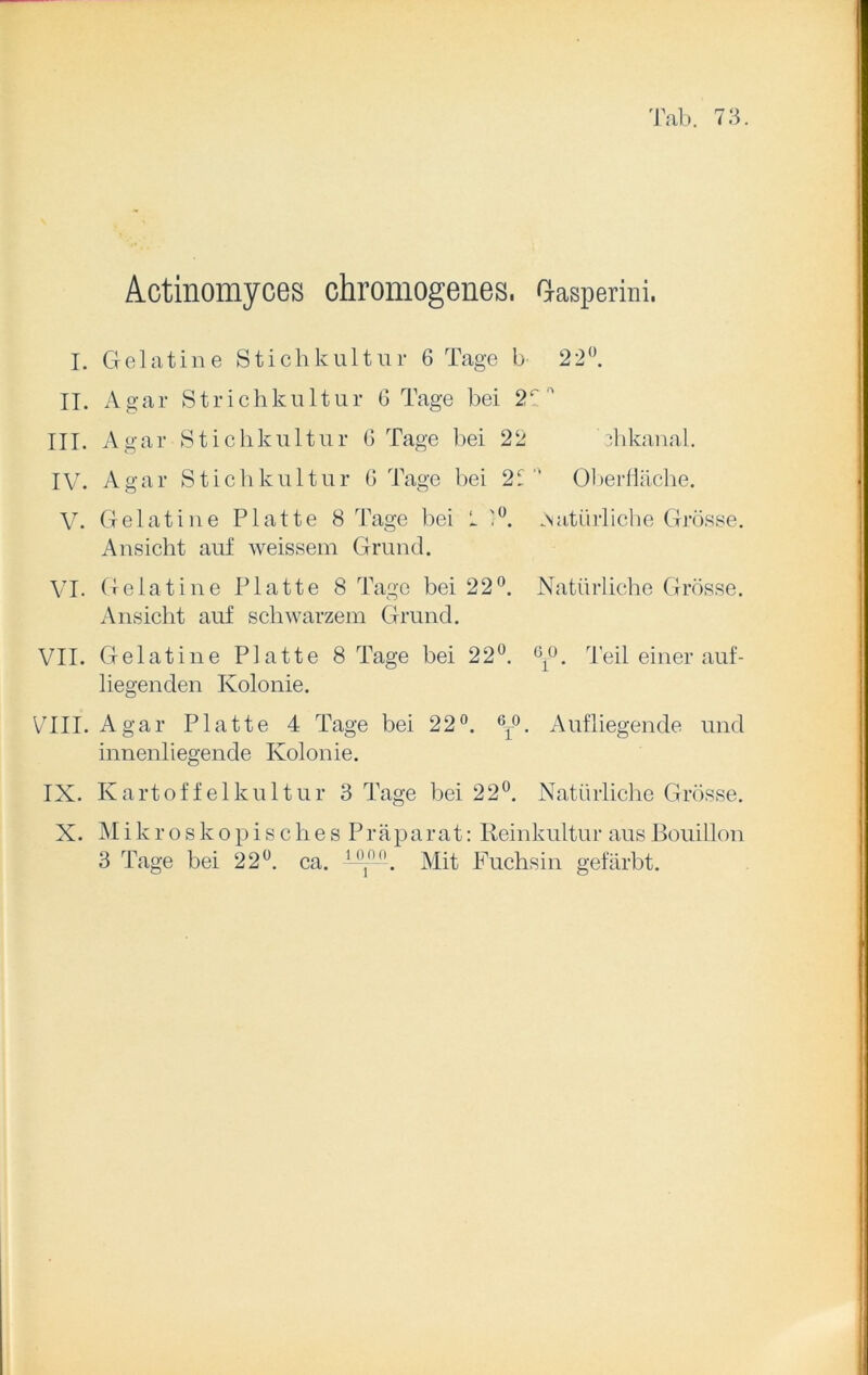 Actinomyces chromogenes. aasperini. I. Gelatine Stichkultur 6 Tage b 22°. IT. Agar Strichkultur 6 Tage bei 2r  III. Agar Stichkultur 6 Tage bei 22 Ahkanal. IV. Agar Stic h k u 11u r G Tage bei 2V' Oberfläche. V. Gelatine Platte 8 Tage bei L 1°. Natürliche Grösse. Ansicht auf weissem Grund. VI. Gelatine Platte 8 Tage bei 22°. Natürliche Grösse. Ansicht auf schwarzem Grund. VII. Gelatine Platte 8 Tage bei 22°. 6y. Teil einer auf- liegenden Kolonie. VIII. Agar Platte 4 Tage bei 22°. 6r°. Aufliegende und innenhegende Kolonie. IX. Kartoffelkultur 3 Tage bei 22°. Natürliche Grösse. X. Mikroskopisches Präparat: Reinkultur aus Bouillon 3 Tage bei 22°. ca. ‘A Mit Fuchsin gefärbt.
