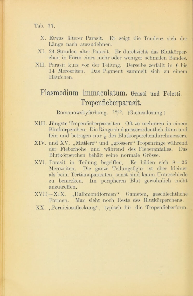 X. XI. XII. Etwas älterer Parasit. Er zeigt die Tendenz sich der Länge nach auszudehnen. 24 Stunden alter Parasit. Er durchzieht das Blutkörper- chen in Form eines mehr oder weniger schmalen Bandes. Parasit kurz vor der Teilung. Derselbe zerfällt in 6 bis 14 Merozoiten. Das Pigment sammelt sich zu einem Häufchen. Plasmodium immaculatum, drassi und Feletti. Tropenfieberparasit, Komanowskyfärbung. - . (Gieinsalösung.) XIII. Jüngste Tropenfieberparasiten. Oft zu mehreren in einem Blutkörperchen. Die Ringe sind ausserordentlich dünn und fein und betragen nur des Blutkörperchendurchmessers. XIV. und XV. ,,Mittlere“ und „grössere“ Tropenringe während der Fieberhöhe und während des Fieberanfalles. Das Blutkörperchen behält seine normale Grösse. XVI. Parasit in Teilung begriffen. Es bilden sich 8—25 Merozoiten. Die ganze Teilungsfigur ist eher kleiner als beim Tertianaparasiten, sonst sind kaum Unterschiede zu bemerken. Im peripheren Blut gewöhnlich nicht anzutreffen. XVII—XlX. „Halbmondformen“, Gameten, geschlechtliche Formen. Man sieht noch Reste des Blutkörperchens. XX. „Perniciosafleckung“, typisch für die Tropenfieberform.