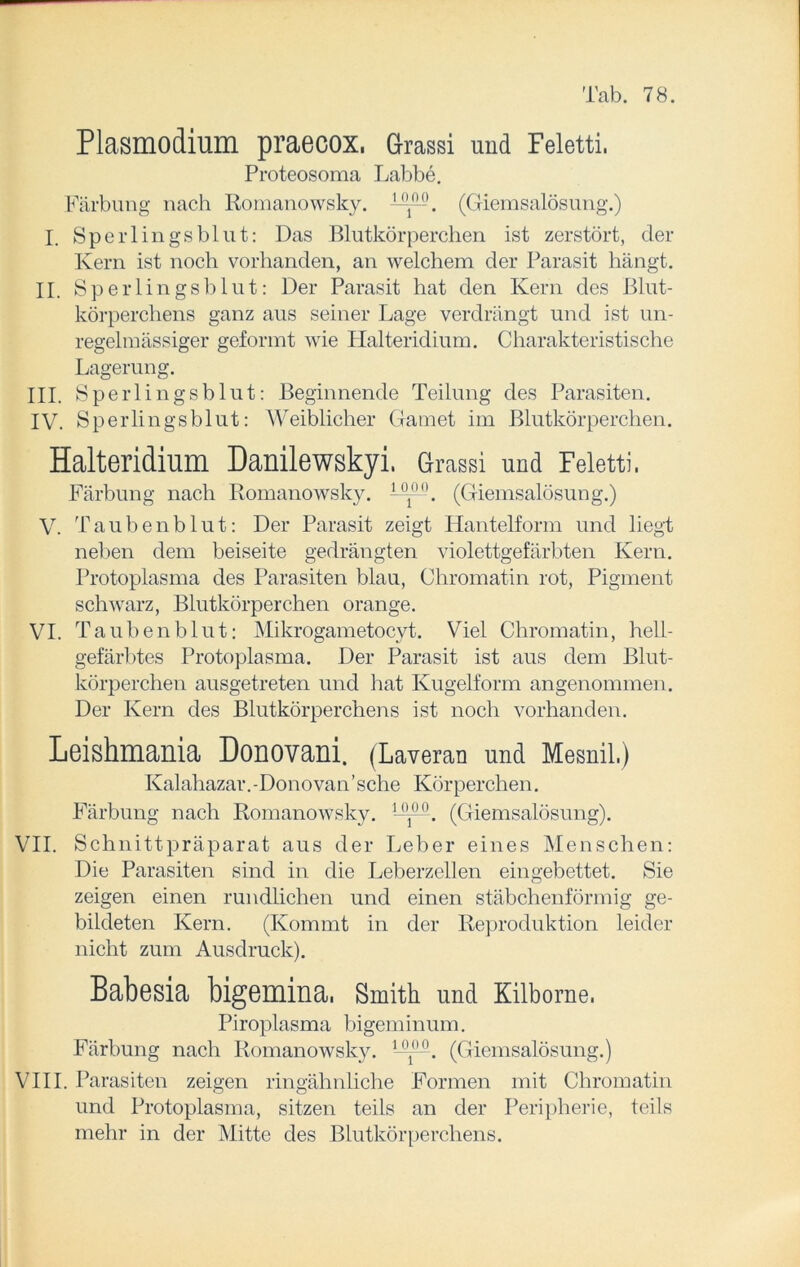 Plasmodium praecox. Grassi und Feletti. Proteosoma Labbe. Färbung nach Romanowsky. 1M1». (Giemsalösung.) I. Sperlingsblut: Das Blutkörperchen ist zerstört, der Kern ist noch vorhanden, an welchem der Parasit hängt. II. Sperlingsblut: Der Parasit hat den Kern des Blut- körperchens ganz aus seiner Lage verdrängt und ist un- regelmässiger geformt wie Halteridium. Charakteristische Lagerung. III. Sperlingsblut: Beginnende Teilung des Parasiten. IV. Sperlingsblut: Weiblicher Gamet im Blutkörperchen. Halteridium Danilewskyi, Grassi und Feletti. Färbung nach Romanowsky. --('T (Giemsalösung.) V. Taubenblut: Der Parasit zeigt Hantelform und liegt neben dem beiseite gedrängten violettgefärbten Kern. Protoplasma des Parasiten blau, Chromatin rot, Pigment schwarz, Blutkörperchen orange. VI. Taubenblut: Mikrogametocvt. Viel Chromatin, hell- gefärbtes Protoplasma. Der Parasit ist aus dem Blut- körperchen ausgetreten und hat Kugelform angenommen. Der Kern des Blutkörperchens ist noch vorhanden. Loiskmania Douovani. (Laveran und Mesnil.) Kalahazar. -Donovan ’ sehe Körperchen. Färbung nach Romanowsky. —M. (Giemsalösung). VII. Schnittpräparat aus der Leber eines Menschen: Die Parasiten sind in die Leberzellen eingebettet. Sie zeigen einen rundlichen und einen stäbchenförmig ge- bildeten Kern. (Kommt in der Reproduktion leider nicht zum Ausdruck). Babesia bigemina. Smith und Kilborne. Piroplasma bigeminum. Färbung nach Romanowsky. 1-M!. (Giemsalösung.) VIII. Parasiten zeigen ringähnliche Formen mit Chromatin und Protoplasma, sitzen teils an der Peripherie, teils mehr in der Mitte des Blutkörperchens.