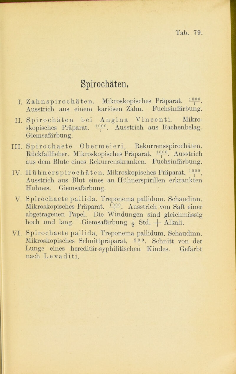 Spirochäten, I. Zahn Spirochäten. Mikroskopisches Präparat, --F—. Ausstrich aus einem kariösen Zahn. Fuchsinfärbung. II. Spirochäten bei Angina Vincenti. Mikro- skopisches Präparat. Ausstrich aus Rachenbelag. Giemsafärbung. III. Spirochaete Obermeieri, Rekurrensspirochäten. Rückfallfieber. Mikroskopisches Präparat. Ausstrich aus dem Blute eines Rekurrenskranken. Fuchsinfärbung. IV. Hühner Spirochäten. Mikroskopisches Präparat. I01no. Ausstrich aus Blut eines an Hühnerspirillen erkrankten Plulmes. Giemsafärbung. V. Spirochaete pallida. Treponema pallidum. Schaudinn. Mikroskopisches Präparat. L<l100. Ausstrich von Saft einer abgetragenen Papel. Die Windungen sind gleichmässig hoch und lang. Giemsafärbung i Std. -j- Alkali. VI. Spirochaete pallida. Treponema pallidum. Schaudinn. Mikroskopisches Schnittpräparat. s ^. Schnitt von der Lunge eines hereditär-syphilitischen Kindes. Gefärbt nach Levaditi.
