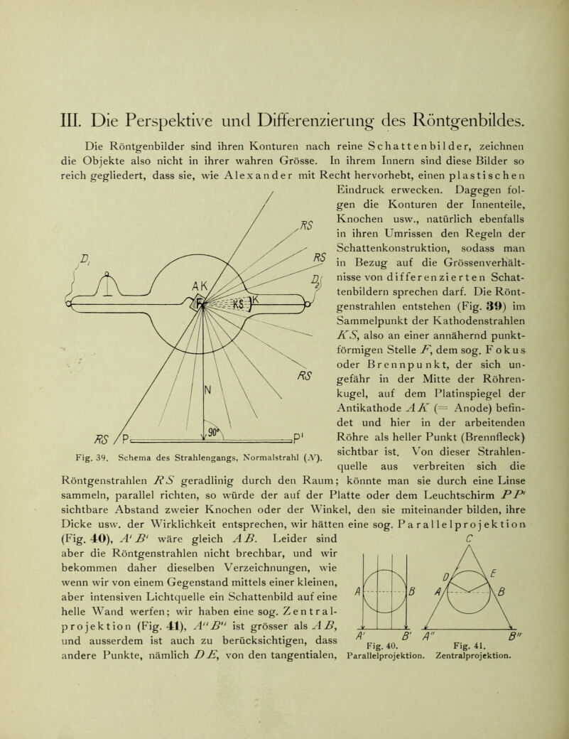 III. Die Perspektive und Differenzierung des Röntgenbildes. Die Röntgenbilder sind ihren Konturen nach reine Schattenbilder, zeichnen die Objekte also nicht in ihrer wahren Grösse. In ihrem Innern sind diese Bilder so reich gegliedert, dass sie, wie Alexander mit Recht hervorhebt, einen plastischen Eindruck erwecken. Dagegen fol- gen die Konturen der Innenteile, Knochen usw., natürlich ebenfalls in ihren Umrissen den Regeln der Schattenkonstruktion, sodass man in Bezug auf die Grössenverhält- nisse von differen zierten Schat- tenbildern sprechen darf. Die Rönt- genstrahlen entstehen (Fig. 39) im Sammelpunkt der Kathodenstrahlen KS, also an einer annähernd punkt- förmigen Stelle B, dem sog. Fokus oder Brennpunkt, der sich un- gefähr in der Mitte der Röhren- kugel, auf dem Platinspiegel der Antikathode AK (= Anode) befin- det und hier in der arbeitenden Röhre als heller Punkt (Brennlleck) sichtbar ist. Von dieser Strahlen- quelle aus verbreiten sich die Röntgenstrahlen RS geradlinig durch den Raum; könnte man sie durch eine Linse sammeln, parallel richten, so würde der auf der Platte oder dem Leuchtschirm PP sichtbare Abstand zweier Knochen oder der Winkel, den sie miteinander bilden, ihre Dicke usw. der Wirklichkeit entsprechen, wir hätten eine sog. P a r a 11 e 1 p roj e k t i o n (Fig. 40), A‘ B‘ wäre gleich AB. Leider sind aber die Röntgenstrahlen nicht brechbar, und wir bekommen daher dieselben Verzeichnungen, wie wenn wir von einem Gegenstand mittels einer kleinen, aber intensiven Lichtquelle ein Schattenbild auf eine helle Wand werfen; wir haben eine sog. Zentral- projektion (Fig. 41), A“ B“ ist grösser als AB, und ausserdem ist auch zu berücksichtigen, dass andere Punkte, nämlich DB, von den tangentialen, Fig. 39. Schema des Strahlengangs, Normalstrahl (Ar). A' ß Fig. 40. Parallelprojektion. A B'r Fig. 41. Zentralprojektion.