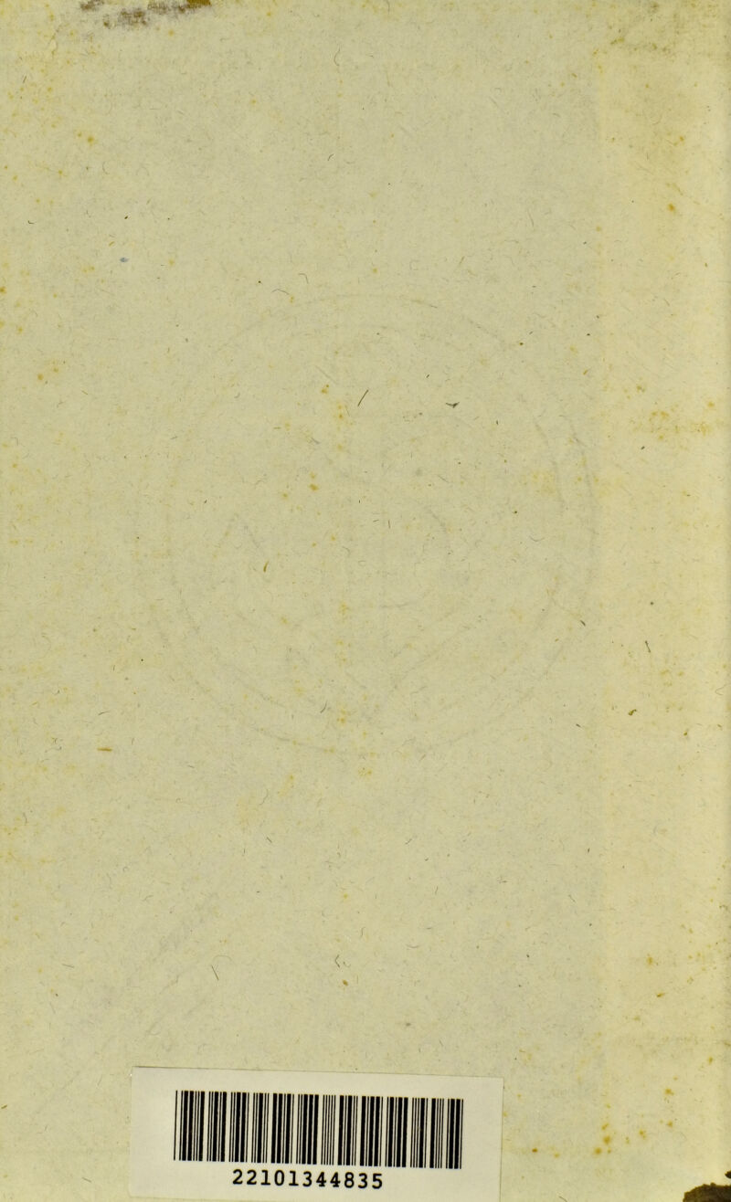 \ (v 22101344835