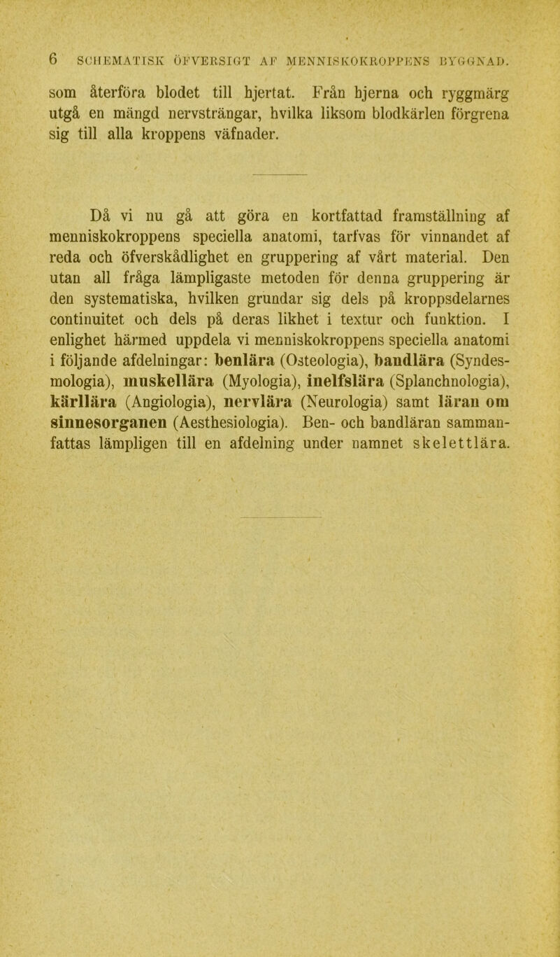 som återföra blodet till hjertat. Från bjerna och ryggmärg utgå en mängd nervsträngar, hvilka liksom blodkärlen förgrena sig till alla kroppens väfnader. Då vi nu gå att göra en kortfattad framställning af menniskokroppens speciella anatomi, tarfvas för vinnandet af reda och öfverskådlighet en gruppering af vårt material. Den utan all fråga lämpligaste metoden för denna gruppering är den systematiska, hvilken grundar sig dels på kroppsdelarnes continuitet och dels på deras likhet i textur och funktion. I enlighet härmed uppdela vi menniskokroppens speciella anatomi i följande afdelningar: Tbenlära (Osteologia), baudlära (Syndes- mologia), muskellära (Myologia), inelfslära (Splanchnologia), kärllära (Angiologia), nervlära (Neurologia) samt läran om sinnesorganen (Aesthesiologia). Ben- och bandläran samman- fattas lämpligen till en afdelning under namnet skelettlära.