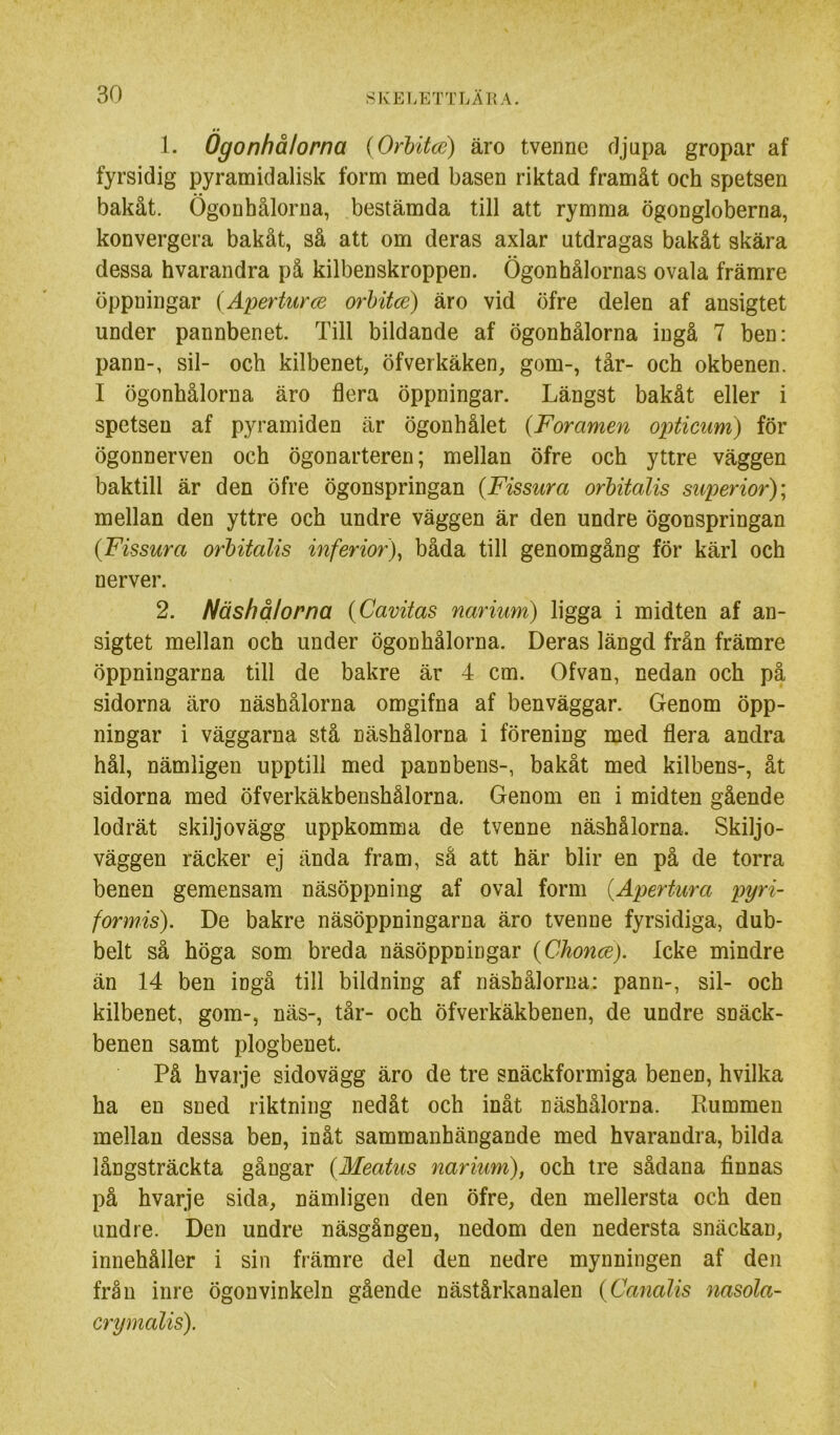1. Ögonhålorna (Orbitce) äro tvenne djupa gropar af fyrsidig pyramidalisk form med basen riktad framåt och spetsen bakåt. Ögonhålorna, bestämda till att rymma ögongloberna, konvergera bakåt, så att om deras axlar utdragas bakåt skära dessa hvarandra på kilbenskroppen. Ögonhålornas ovala främre öppningar (Aperturce orhitce) äro vid öfre delen af ansigtet under pannbenet. Till bildande af ögonhålorna ingå 7 ben: pann-, sil- och kilbenet, öfverkäken, gom-, tår- och okbenen. I ögonhålorna äro flera öppningar. Längst bakåt eller i spetsen af pyramiden är ögon hålet {For amen opticum) för ögonnerven och ögonarteren; mellan öfre och yttre väggen baktill är den öfre ögonspringan (Fissura orhitalis superior); mellan den yttre och undre väggen är den undre ögonspringan {Fissura orhitalis inferior)^ båda till genomgång för kärl och nerver. 2. Näshålorna {Cavitas narium) ligga i midten af an- sigtet mellan och under ögonhålorna. Deras längd från främre öppningarna till de bakre är 4 cm. Ofvan, nedan och på sidorna äro näshålorna omgifna af benväggar. Genom öpp- ningar i väggarna stå näshålorna i förening med flera andra hål, nämligen upptill med pannbens-, bakåt med kilbens-, åt sidorna med öfverkäkbenshålorna. Genom en i midten gående lodrät skiljovägg uppkomma de tvenne näshålorna. Skiljo- väggen räcker ej ända fram, så att här blir en på de torra benen gemensam näsöppning af oval form {Apertura pyri- formis). De bakre näsöppningarna äro tvenne fyrsidiga, dub- belt så höga som breda näsöppningar {Chonce). Icke mindre än 14 ben ingå till bildning af näshålorna: pann-, sil- och kilbenet, gom-, näs-, tår- och Öfverkäkbenen, de undre snäck- benen samt plogbenet. På hvarje sidovägg äro de tre snäckformiga benen, hvilka ha en sned riktning nedåt och inåt näshålorna. Rummen mellan dessa ben, inåt sammanhängande med hvarandra, bilda långsträckta gångar {Meatus narium), och tre sådana finnas på hvarje sida, nämligen den öfre, den mellersta och den undre. Den undre näsgången, nedom den nedersta snäckan, innehåller i sin främre del den nedre mynningen af den från inre ögonvinkeln gående nästårkanalen {Canalis nasola- crymalis).