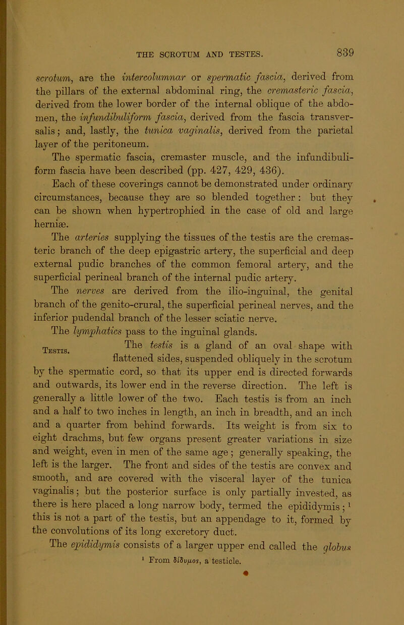 scrotum, are the intercolumnar or spermatic fascia, derived from, the pillars of the external abdominal ring, the cremasteric fascia, derived from the lower border of the internal oblique of the abdo- men, the vnfundibuliform fascia, derived from the fascia transver- salis; and, lastly, the tunica vaginalis, derived from the parietal layer of the peritoneum. The spermatic fascia, cremaster muscle, and the infundibuli- form fascia have been described (pp. 427, 429, 436). Each of these coverings cannot be demonstrated under ordinary circumstances, because they are so blended together : but they can be shown when hypertrophied in the case of old and large hernias. The arteries supplying the tissues of the testis are the cremas- teric branch of the deep epigastric artery, the superficial and deep external pudic branches of the common femoral artery, and the superficial perineal branch of the internal pudic artery. The nerves are derived from the ilio-inguinal, the genital branch of the genito-crural, the superficial perineal nerves, and the inferior pudendal branch of the lesser sciatic nerve. The lymphatics pass to the inguinal glands. Testis The testis is a gland of an oval shape with flattened sides, suspended obliquely in the scrotum by the spermatic cord, so that its upper end is directed forwards and outwards, its lower end in the reverse direction. The left is generally a little lower of the two. Each testis is from an inch and a half to two inches in length, an inch in breadth, and an inch and a quarter from behind forwards. Its weight is from six to eight drachms, but few organs present greater variations in size and weight, even in men of the same age; generally speaking, the left is the larger. The front and sides of the testis are convex and smooth, and are covered with the visceral layer of the tunica vaginalis; but the posterior surface is only partially invested, as there is here placed a long narrow body, termed the epididymis ;1 this is not a part of the testis, but an appendage to it, formed by the convolutions of its long excretory duct. The epididymis consists of a larger upper end called the globus 1 From 5/5ufios, a testicle.