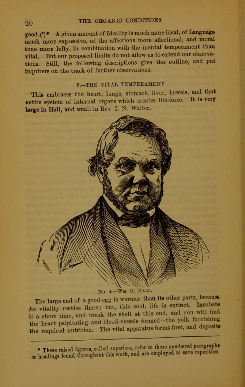 20 good.(#)* A given amount of Ideality is much more ideal, of Language much more expressive, of the affections more affectional, and moral tone more lofty, in combination with the mental temperament than vital. But our proposed limits do not allow us to extend our observa- tions. Still, the following descriptions give the outline, and put inquirers on the track of further observations. 5.—THE VITAL TEMPERAMENT This embraces the heart, lungs, stomach, liver, bowels, and that entire system of internal organs which creates life-force. It is very large In Hall, and small in Rev I. N. Walter. No. 4.-Wm. G. Hall. The large end of a good egg is warmer than its other parts because /to vitality resides there; but, this cold, life is extinct. Incubate it a short time, and break the shell at this end and you win find the heart palpitating and blood-vessels formed-the yolk furmshi g the required nutrition. The vital apparatus forms first, and deposits * These raised figures, called superiors, refer to those numbered paragraphs or headings found throughout this work, and are employed to save repetit