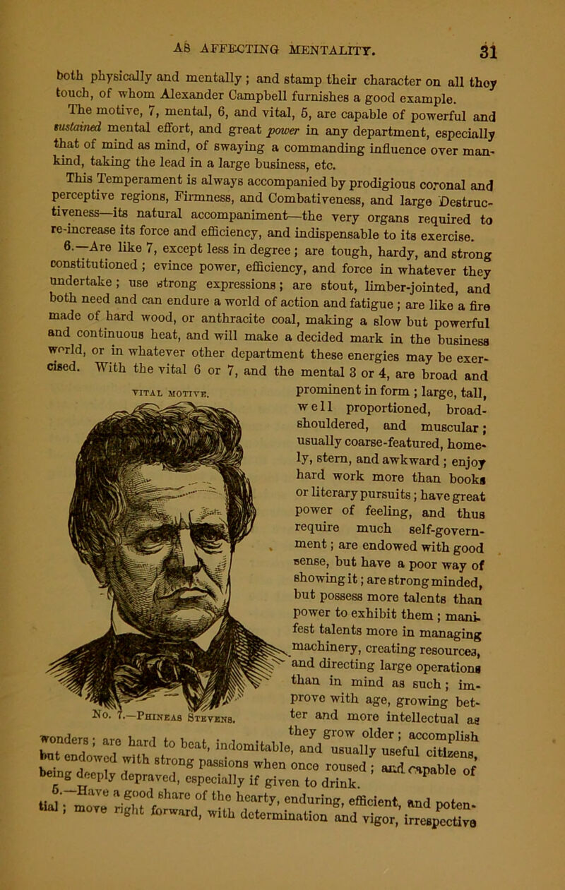 both physically and mentally ; and stamp their character on all thoy touch, of whom Alexander Campbell furnishes a good example. The motive, 7, mental, 6, and vital, 5, are capable of powerful and sustained mental effort, and great power in any department, especially that of mind as mind, of swaying a commanding influence over man- kind, taking the lead in a large business, etc. This Temperament is always accompanied by prodigious coronal and perceptive regions, Firmness, and Combativeness, and large Destruc- tiveness—its natural accompaniment—the very organs required to re-increase its force and efficiency, and indispensable to its exercise. ® ~■^1® like 7, except less in degree ; are tough, hardy, and strong constitutioned; evince power, efficiency, and force in whatever they undertake; use strong expressions; are stout, limber-jointed, and both need and can endure a world of action and fatigue ; are like a fire made of hard wood, or anthracite coal, making a slow but powerful and continuous heat, and will make a decided mark in the business world, or in whatever other department these energies may be exer- cised. With the vital 6 or 7, and the mental 3 or 4, are broad and VITAL MOTIVE. well proportioned, broad- shouldered, and muscular; usually coarse-featured, home- ly, stern, and awkward ; enjoy hard work more than books or literary pursuits; have great power of feeling, and thus require much self-govern- ment ; are endowed with good cense, but have a poor way of showing it; are strong minded, but possess more talents than power to exhibit them ; mani- fest talents more in managing ..machinery, creating resources, and directing large operations than in mind as such; im- prove with age, growing bet- ter and more intellectual as wonders • am V,nr,i r i , . , . ^ey £row older; accomplish , .  , ‘ bcat- indomitable, end molly useful citleen, bom,.vS, dVJ.lS.:ta Zf' *• Phineas Stevens.