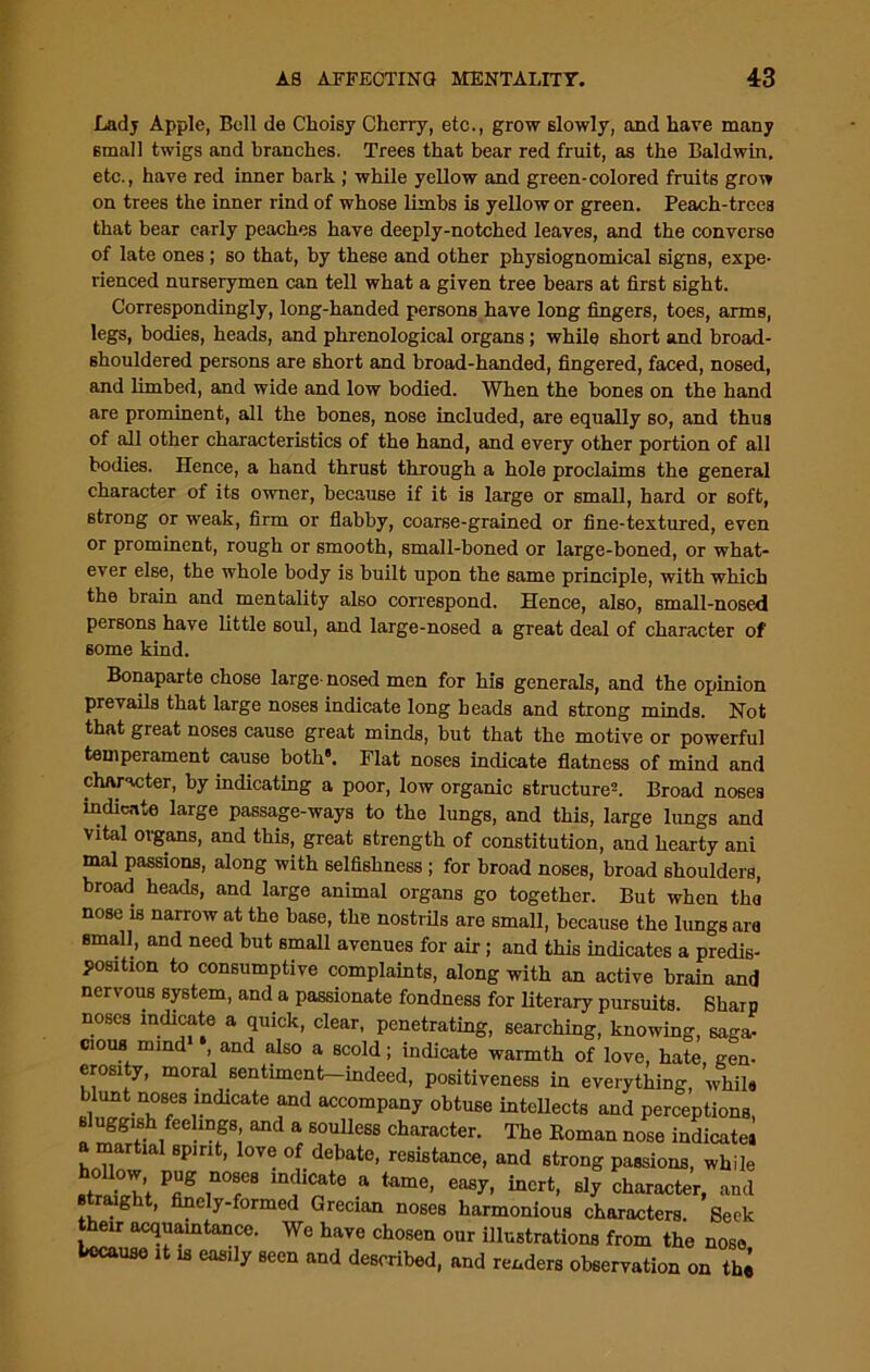 Lady Apple, Bell de Clioisy Cherry, etc., grow slowly, and have many small twigs and branches. Trees that bear red fruit, as the Baldwin, etc., have red inner bark ; while yellow and green-colored fruits grow on trees the inner rind of whose limbs is yellow or green. Peach-trees that bear early peaches have deeply-notched leaves, and the converse of late ones; so that, by these and other physiognomical signs, expe- rienced nurserymen can tell what a given tree bears at first sight. Correspondingly, long-handed persons have long fingers, toes, arms, legs, bodies, heads, and phrenological organs ; while short and broad- shouldered persons are short and broad-handed, fingered, faced, nosed, and limbed, and wide and low bodied. When the bones on the hand are prominent, all the bones, nose included, are equally so, and thus of all other characteristics of the hand, and every other portion of all bodies. Hence, a hand thrust through a hole proclaims the general character of its owner, because if it is large or small, hard or soft, strong or weak, firm or flabby, coarse-grained or fine-textured, even or prominent, rough or smooth, small-boned or large-boned, or what- ever else, the whole body is built upon the same principle, with which the brain and mentality also correspond. Hence, also, small-nosed persons have little soul, and large-nosed a great deal of character of some kind. Bonaparte chose large-nosed men for his generals, and the opinion prevails that large noses indicate long heads and strong minds. Not that great noses cause great minds, but that the motive or powerful temperament cause both*. Flat noses indicate flatness of mind and character, by indicating a poor, low organic structure2. Broad noses indicate large passage-ways to the lungs, and this, large lungs and Vital organs, and this, great strength of constitution, and hearty ani mal passions, along with selfishness; for broad noses, broad shoulders, broad heads, and large animal organs go together. But when the nose is narrow at the base, the nostrils are small, because the lungs are small, and need but small avenues for air; and this indicates a predis- position to consumptive complaints, along with an active brain and nervous system, and a passionate fondness for literary pursuits. Sharp noses indicate a quick, clear, penetrating, searching, knowing, saga- cious mind* * and also a scold; indicate warmth of love, hate, gen- erosity, moral sentiment—indeed, positiveness in everything, while blunt noses indicate and accompany obtuse intellects and perceptions sluggish feelings, and a soulless character. The Roman nose indicate* a martial spirit, love of debate, resistance, and strong passions, while t . T’ P“g .n0®C8 m‘hc^te a tome, easy, inert, sly character, and g , e y-formed Grecian noses harmonious characters Seek their acquaintance. We have chosen our illustrations from the nose tocauso it is easily seen and described, and renders observation on the