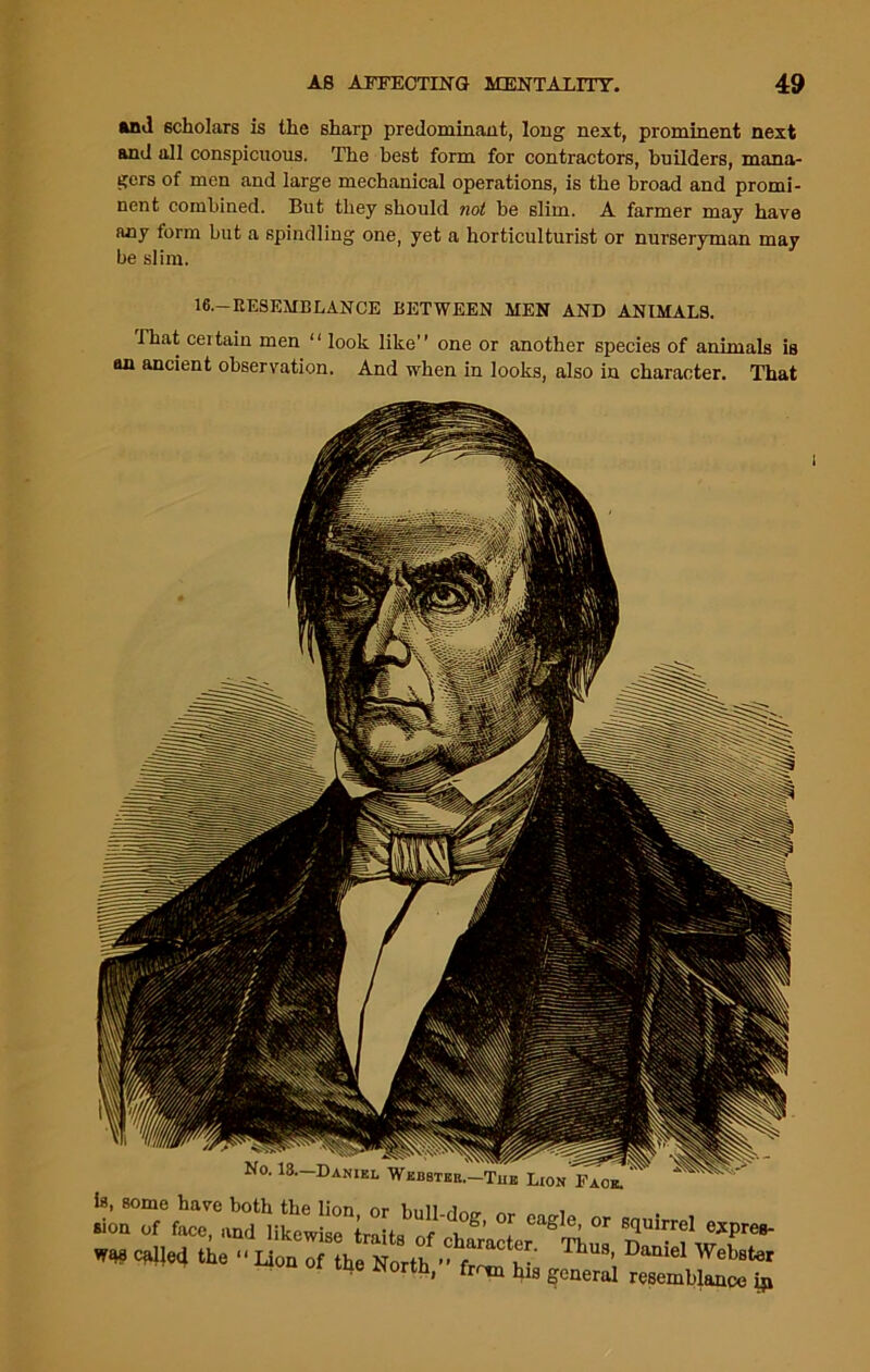 and scholars is the sharp predominant, long next, prominent next and all conspicuous. The best form for contractors, builders, mana- gers of men and large mechanical operations, is the broad and promi- nent combined. But they should not be slim. A farmer may have any form but a spindling one, yet a horticulturist or nurseryman may be slim. 16.—RESEMBLANCE BETWEEN MEN AND ANIMALS. That certain men “ look like one or another species of animals is an ancient observation. And when in looks, also in character. That No. 13.—Daniel Wbbstku.—Tub Lion Faoe. is, some have both the lion or bull rlntr ™ i tne North, firm his general resemblance i