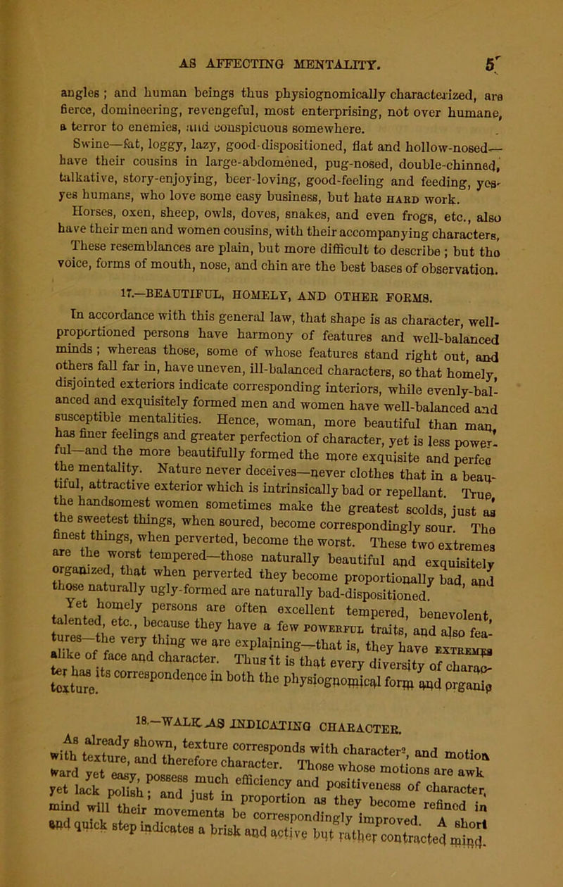 angles; and human beings thus physiognomically characterized, are fierce, domineering, revengeful, most enterprising, not over humane, a terror to enemies, and conspicuous somewhere. Swine—fat, loggy, lazy, good-dispositioned, flat and liollow-nosed— have their cousins in large-abdomened, pug-nosed, double-chinned, talkative, story-enjoying, beer-loving, good-feeling and feeding, yes- yes humans, who love some easy business, but hate hard work. Horses, oxen, sheep, owls, doves, snakes, and even frogs, etc., also have their men and women cousins, with their accompanying characters, These resemblances are plain, but more difficult to describe ; but tho voice, forms of mouth, nose, and chin are the best bases of observation. IT.—BEAUTIFUL, HOMELY, AND OTHER FORMS. In accordance with this general law, that shape is as character, well- proportioned persons have harmony of features and well-balanced minds ; whereas those, some of whose features stand right out, and others fall far in, have uneven, ill-balanced characters, so that homely disjointed exteriors indicate corresponding interiors, while evenly-bal- anced and exquisitely formed men and women have well-balanced and susceptible mentalities. Hence, woman, more beautiful than man has finer feelings and greater perfection of character, yet is less power! ful-and the more beautifully formed the more exquisite and perfea the men tab ty. Nature never deceives—never clothes that in a beau- tiful attractive exterior which is intrinsically bad or repellant. True the handsomest women sometimes make the greatest scolds, just as the sweetest things, when soured, become correspondingly sour. The finest thmgs, when perverted, become the worst. These two extremes ml. ;v°f/eTpered-th0se naturall7 beautiful and exquisitely organized, that when perverted they become proportionally bad and those naturally ugly-formed are naturally bad-Sispositioned Ye homely persons are often excellent tempered, benevolent talented etc., because they have a few rowEimm traits, and also fea’ turns tfie Very thing we are explajning-that is, they hav7Ex™ alike of face and character. Thus it is that every diversity of chal^ iSturn COrre8p°nd^Ce * botb physiognomical form 4Rd prgalp 18.-WALK.AS INDICATING CHARACTER