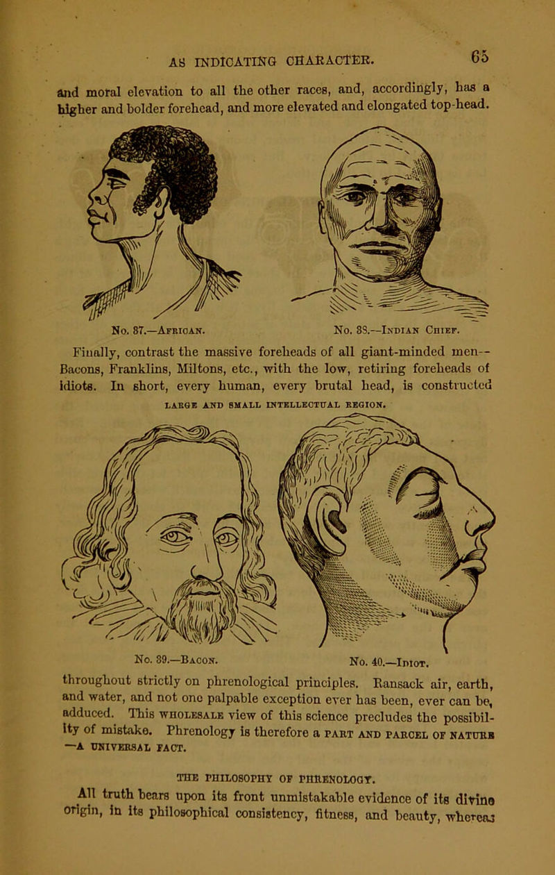 and moral elevation to all the other races, and, accordingly, has a higher and bolder forehead, and more elevated and elongated top-head. No. 87.—African. No. 8S.—Indian Chief. Finally, contrast the massive foreheads of all giant-minded men— Bacons, Franklins, Miltons, etc., with the low, retiring foreheads of idiots. In short, every human, every brutal head, is constructed LARGE AND SMALL INTELLECTUAL REGION. throughout strictly on phrenological principles. Ransack air, earth, and water, and not one palpable exception ever has been, ever can be, adduced. This wholesale view of this science precludes the possibil- ity of mistake. Phrenology is therefore a part and parcel of nature —A UNIVERSAL FACT. THE PHILOSOPHY OF PHRENOLOGY. All truth bears upon its front unmistakable evidence of its ditino origin, in its philosophical consistency, fitness, and beauty, whereas