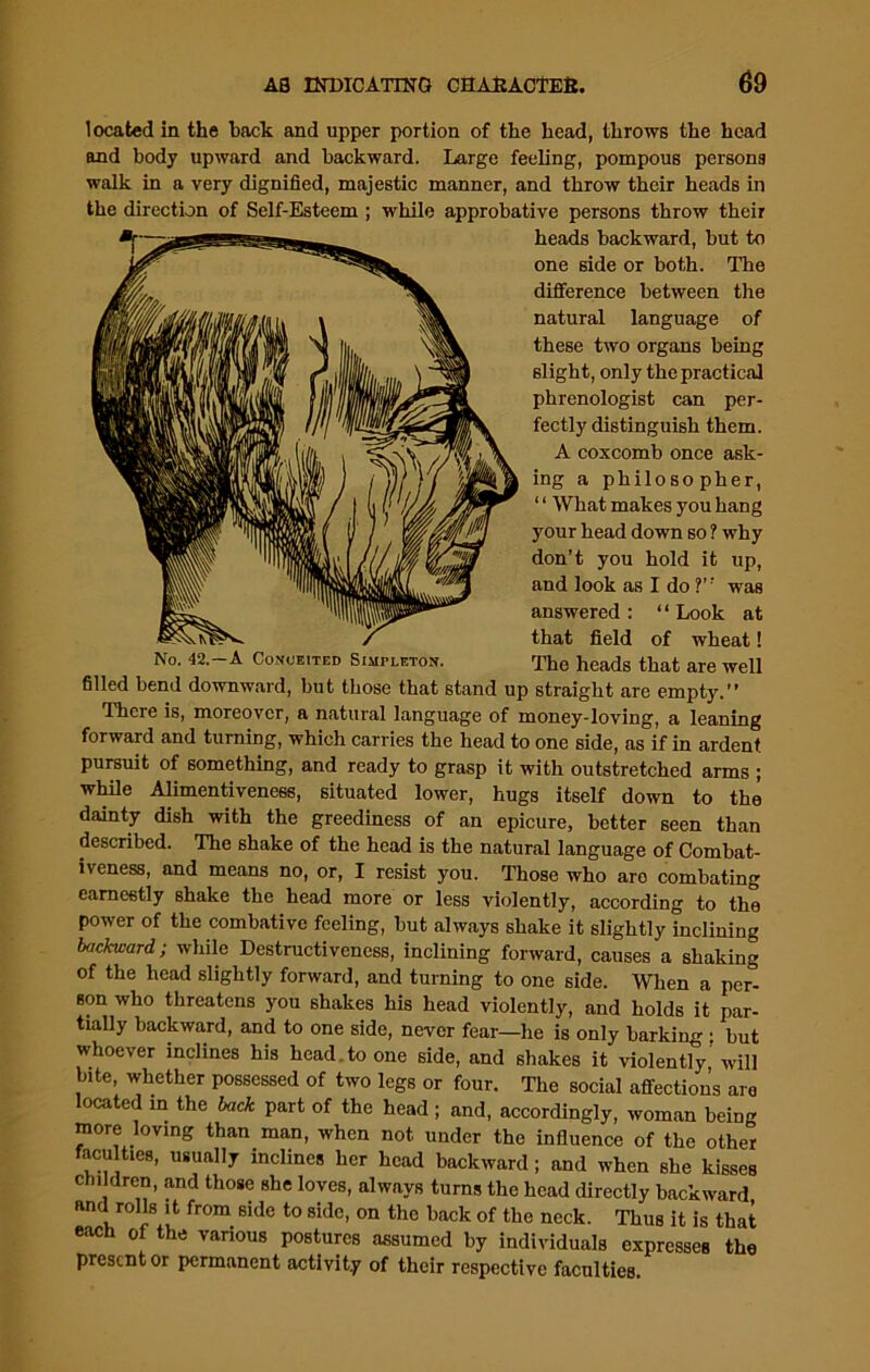 located in the back and upper portion of the head, throws the head and body upward and backward. Large feeling, pompous persona walk in a very dignified, majestic manner, and throw their heads in the direction of Self-Esteem; while approbative persons throw their heads backward, but to one side or both. The difference between the natural language of these two organs being slight, only the practical phrenologist can per- fectly distinguish them. A coxcomb once ask- ing a philosopher, ‘ ‘ What makes you hang your head down so 1 why don’t you hold it up, and look as I do V’ was answered : “ Look at that field of wheat! No. 42.—A Conceited Simpleton. The heads that are well filled bend downward, but those that stand up straight are empty.” There is, moreover, a natural language of money-loving, a leaning forward and turning, which carries the head to one side, as if in ardent pursuit of something, and ready to grasp it with outstretched arms ; while Alimentiveness, situated lower, hugs itself down to the dainty dish with the greediness of an epicure, better seen than described. The shake of the head is the natural language of Combat- iveness, and means no, or, I resist you. Those who aro combating earnestly shake the head more or less violently, according to the power of the combative feeling, but always shake it slightly inclining backward; while Destructiveness, inclining forward, causes a shaking of the head slightly forward, and turning to one side. When a per- son who threatens you shakes his head violently, and holds it par- tially backward, and to one side, never fear—he is only barking : but whoever inclines his head, to one side, and shakes it violently,’will bite, whether possessed of two legs or four. The social affections are located in the back part of the head ; and, accordingly, woman being more loving than man, when not. under the influence of the other facu ties, usually inclines her head backward; and when she kisses chi dren, and those she loves, always turns the head directly backward and rolls it from side to side, on the back of the neck. Thus it is that each of the various postures assumed by individuals expresses the present or permanent activity of their respective faculties.