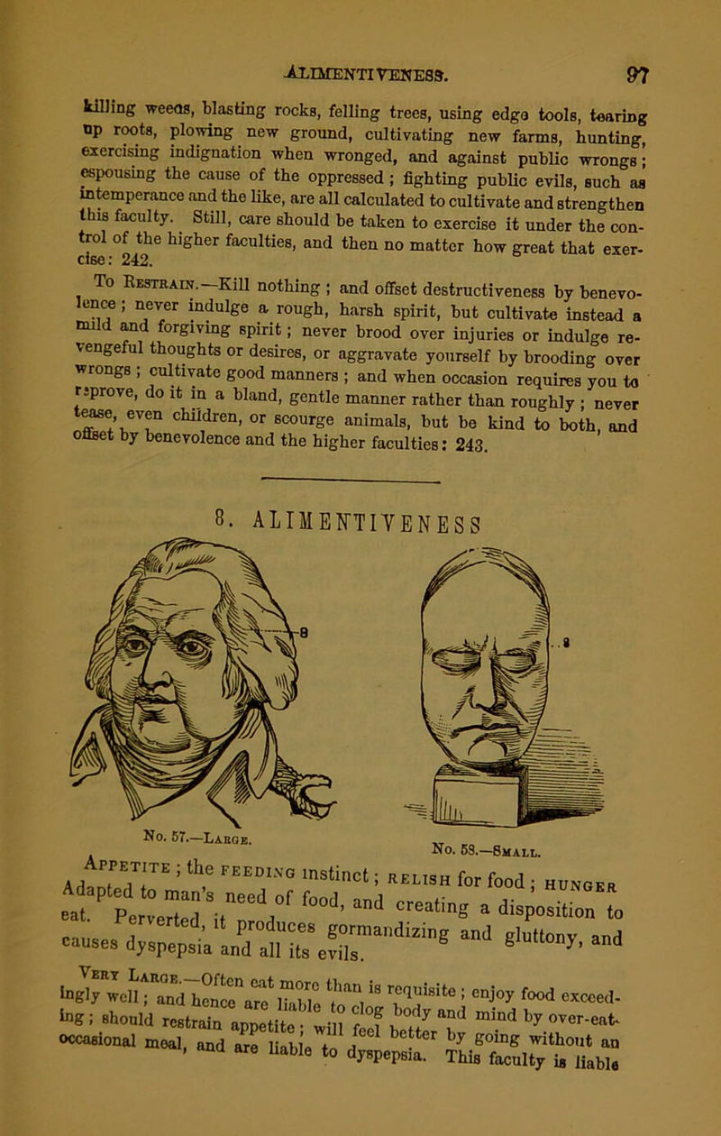 killing weeas, blasting rocks, felling trees, using edge tools, tearing up roots, plowing new ground, cultivating new farms, hunting, exercising indignation when wronged, and against public wrongs • espousing the cause of the oppressed ; fighting public evils, such u intemperance and the like, are all calculated to cultivate and strengthen this faculty. Still, care should be taken to exercise it under the con- trol of the higher faculties, and then no matter how great that exer- To Restrain.—Kill nothing ; and offset destructiveness by benevo- lence ; never indulge a rough, harsh spirit, but cultivate instead a mild and forgiving spirit; never brood over injuries or indulge re- vengeful thoughts or desires, or aggravate yourself by brooding over wrongs , cultivate good manners ; and when occasion requires you to rjprove, do it in a bland, gentle manner rather than roughly ; never ease even children, or scourge animals, but be kind to both, and onset by benevolence and the higher faculties: 243. ALIMENTIVENESS No. 57.—Large. . No. 58.—Small. AdanfPWITE 5 ^ FEEDING mStinCt ; RELISH f0r fo°d J HUNGER .atyrd;f hoi-Md ««&«. to eauses dyspepsia anda'“1 g,UltMI>'' and well; and hcncTareZZl ?*°i “ 1 en« f°°d eaeoed- elould ‘Zto w/“d mi°d ^ over-eat- occasional meal, and are liabl’eTn i** b^ter by g°ing witbont an . ana are liable to dyspepsia. This faculty i8 Jiabla