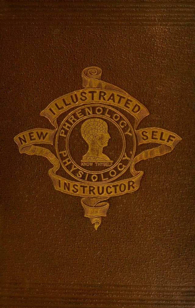 No text description is available for this image