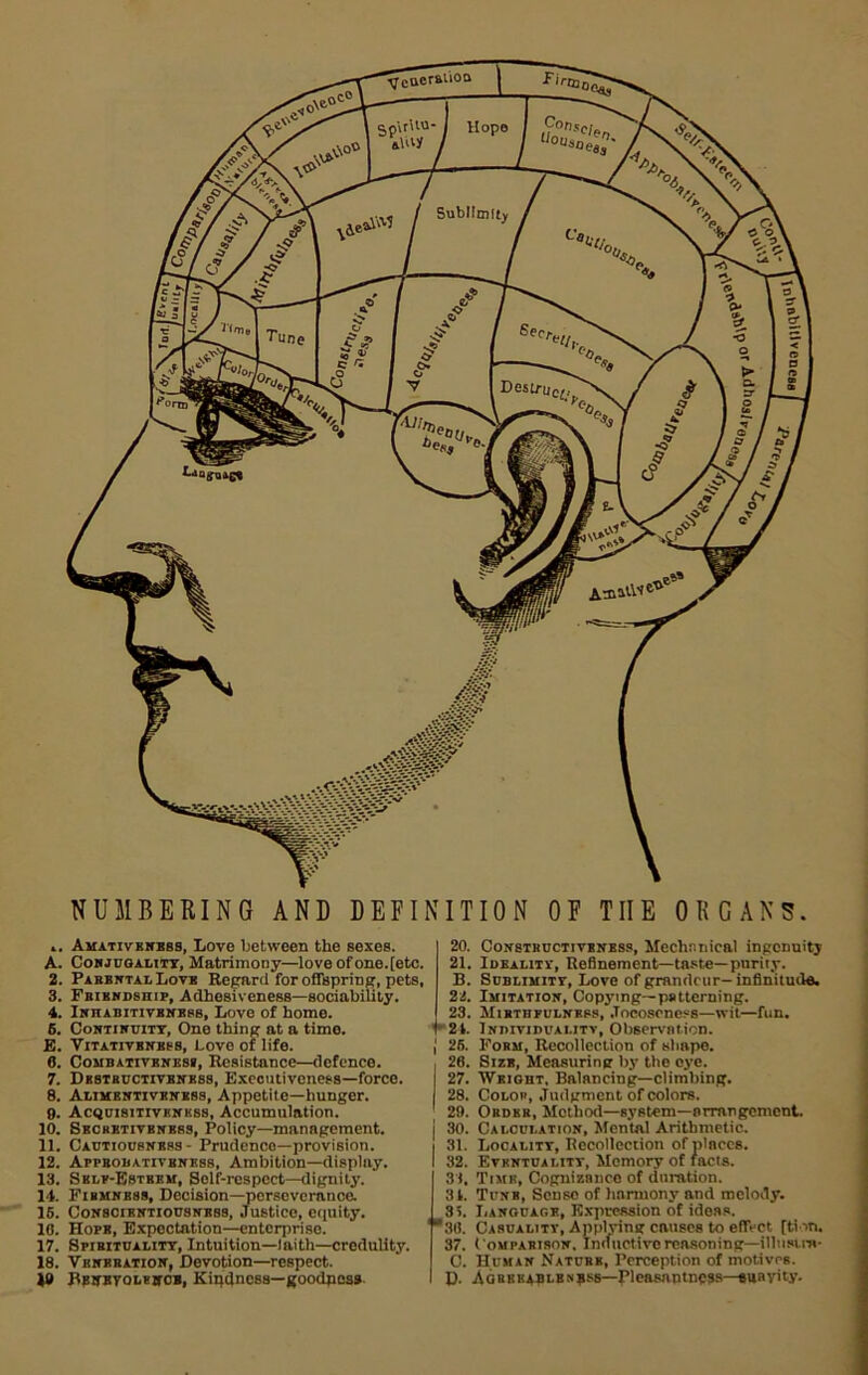 yj cuersliOQ I 5ubllmlt' Destru, NUMBERING AND DEFINITION OF THE ORGANS. ». Amativknbss, Love between the sexes. A. Conjugality, Matrimony—love of one. [etc. 2. Parental Love Regard foroffspring, pets, 3. Friendship, Adhesiveness—sociability. 4. Inhabitivbness, Love of home. 6. Continuity, One thing at a time. E. Vitativbness, Love of life. 6. Combativbness, Resistance—defence. 7. Dbstbuctivbnbss, Exccutiveness—force. 8. Alimentivbness, Appetite—hunger. 9. Acquisitiveness, Accumulation. 10. Sbcrktivbnbss, Policy—management. 11. Cautiousness - Prudence—provision. 12. Appbobatiybness, Ambition—display. 13. Self-Esteem, Solf-respcct—dignity. 14. Pibmnbss, Decision—perseverance. 15. Conscientiousness, Justice, equity. 10. Hops, Expectation—enterprise. 17. Spirituality, Intuition—laith—credulity. 18. Venbbation, Devotion—respect. Bpnbvqlencs, Kindness—goodness- 20. Constbuctiveness, Mechanical ingenuity 21. Ideality, Refinement—taste—purity. B. Sublimity, Love of grandeur-infinitude. 21. Imitation, Copying— patterning. 23. Mibthfulness, .Toeosonefs—wit—fun. 2t. Individuality, Observation, j 25. Form, Recollection of shape. 26. Size, Measuring by the eye. 27. Weight. Balancing—climbing. 28. Coloh, Judgment of colors. 29. Ordeb, Method—system—arrangement. 30. Calculation, Mental Arithmetic. 31. Locality, Recollection of places. 32. Eventuality-, Memory of facts. 31, Time, Cognizance of duration. 31. Tunb, Sense of harmony' and melody. 35. Language, Expression of ideas. ’30. Casualitt, Applying causes to effect [tim. 37. Comparison. Inductive reasoning—ilhisi m- C. Human Nature, Perception of motives. D- Agbbk*blbnbss—Pleasantness—euayity.