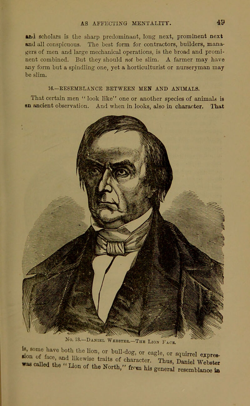 and scholars is the sharp predominant, long next, prominent next and all conspicuous. The best form for contractors, builders, mana- gers of men and large mechanical operations, is the broad and promi- nent combined. But they should not be slim. A farmer may have any form but a spindling one, yet a horticulturist or nurseryman may be slim. 16.—RESEMBLANCE BETWEEN MEN AND ANIMALS. That certain men “ look like” one or another species of animals is an ancient observation. And when in looks, also in character. That No. 18.—Daniel Wkbbtkr. f£T b°tl“.‘he ll0. ” '■uU-dog, or eagle, or squirrel errpre* was Th“', D“iel on oi tne North, frrxn his general resemblance in