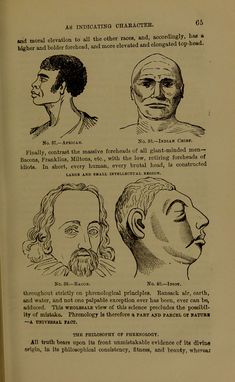 and moral elevation to all the other races, and accordingly haaa higher and bolder forehead, and more elevated and elongated top-head. No. 8?.—African. No. 88.—Indian Chief. Finally, contrast the massive foreheads of all giant-minded men— Bacons, Franklins, MU tons, etc., with the low, retiring foreheads of idiots. In short, every human, every brutal head, is constructed LARGE AND SMALL INTELLECTUAL REGION. No. 89.—Bacon. No. 40.—Idiot. throughout strictly on phrenological principles. Ransack air, earth, and water, and not one palpable exception ever has been, ever can be, adduced. This wholesale view of this science precludes the possibil- ity of mistake. Phrenology is therefore a part and parcel op naturh —A UNIVERSAL PACT. THE PHILOSOPHY OP PHRENOLOGY. All truth bears upon its front unmistakable evidence of its divine origin, in its phUosophical consistency, fitness, and beauty, wfieroRj