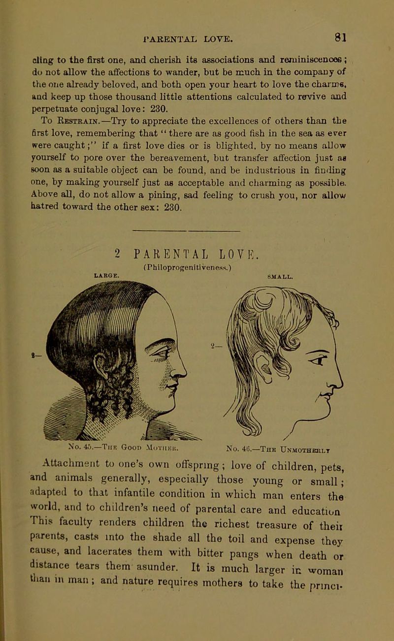 eliag to the first one, and cherish its associations and reminiscences; do not allow the affections to wander, but be much in the company of the one already beloved, and both open your heart to love the charms, and keep up those thousand little attentions calculated to revive and perpetuate conjugal love: 230. To Restkain.—Try to appreciate the excellences of others than the first love, remembering that “ there are as good fish in the sea as ever were caught;” if a first love dies or is blighted, by no means allow yourself to pore over the bereavement, but transfer affection just n« soon as a suitable object can be found, and be industrious in fimling one, by making yourself just as acceptable and charming as possible. Above aU, do not allow a pining, sad feeling to crush you, nor allow hatred toward the other sex: 230. 2 PARENTAL LOVE. (Philoprogenitiveness.) LARGE. SMALL. No. 4.5. The Good MciTiiKit. No. 4(i.—Thr Un.mothkult Attachment to one’s own offspring; love of children, pets, and animals generally, especially those young or small; adapted to that infantile condition in which man enters the world, and to children’s need of parental care and education This faculty renders children the richest treasure of theii parents, casts into the shade all the toil and expense they cause, and lacerates them with bitter pangs when death or distance tears them asunder. It is much larger in woman tlian in man; and nature requires mothers to take the princi-