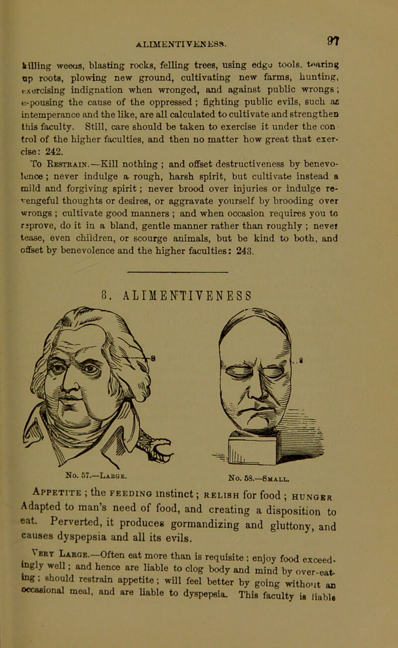AXIMENTIVKKKBa. tilling weeus, blasting rocks, felling trees, using edge tools. b>aring op roots, plowing new ground, cultivating new farms, hunting, t-jcercising indignation when wronged, and against public wrongs; u'pousing the cause of the oppressed; fighting public evils, such as intemperance and the like, are all calculated to cultivate and strengthen this faculty. Still, care should be taken to exercise it under the con trol of the higher faculties, and then no matter how great that exer- cise: 242. To Restrain.—Kill nothing ; and offset destructiveness by benevo- lence ; never indulge a rough, harsh spirit, but cultivate instead a mild and forgiving spirit; never brood over injuries or indulge re- vengeful thoughts or desires, or aggravate yourself by brooding over wrongs ; cultivate good manners ; and when occasion requires you to rsprove, do it in a bland, gentle manner rather than roughly ; nevei tease, even children, or scourge animals, but be kind to both, and offset by benevolence and the higher faculties; 243. 8. ALIMEFTITENESS N0. 57.—Labg k. No. 6S.—8mall. Appetite ; the feeding instinct; relish for food ; hunger Adapted to man’s need of food, and creating a disposition to eat. Perverted, it produces gormandizing and gluttony, and causes dyspepsia and all its evils. Vert Large.—Often eat more than is requisite; enjoy food exceed- togly well; and hence are liable to clog body and mind by over-eat- ing: should restrain appetite; will feel better by going without an occasional meal, and are liable to dyspepsia. This faculty is liable