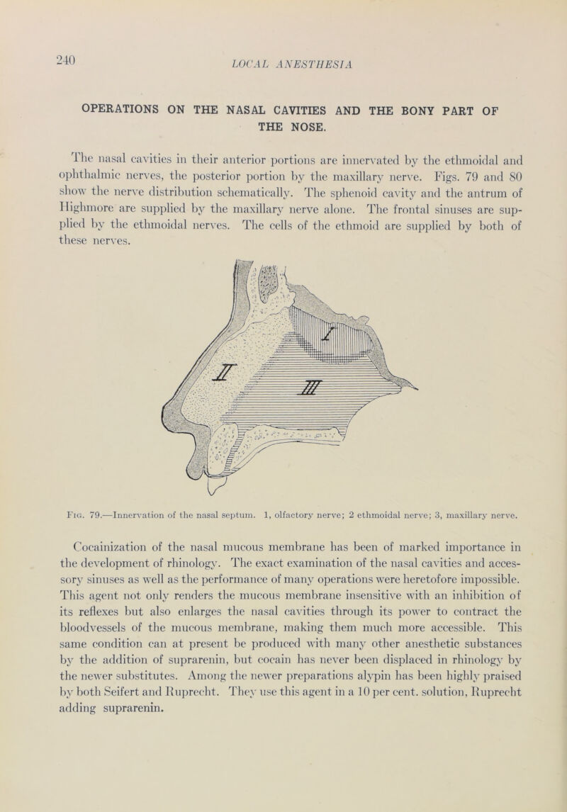 OPERATIONS ON THE NASAL CAVITIES AND THE BONY PART OF THE NOSE. 1 he nasal cavities in tlieir anterior portions are innervated by the ethmoidal and ophthalmic nerves, the posterior portion by the maxillary nerve. Figs. 79 and 80 show the nerve distribution schematically. The sphenoid cavity and the antrum of Ilighmore are supplied by the maxillary nerve alone. Tlie frontal sinuses are sup- plied by the ethmoidal nerves. The cells of the ethmoid are supplied by both of these nerves. Fig. 79.—Innervation of the nasal septum. 1, olfactory nerve; 2 ethmoidal nerve; 3, maxillary nerve. Cocainization of the nasal nmcous membrane has been of marked importance in the development of rhinology. The exact examination of the nasal cavities and acces- sory sinuses as well as the performance of many operations were heretofore impossible. This agent not only renders the mucous membrane insensitive with an inhibition of its reflexes but also enlarges the nasal cavities through its power to contract the bloodvessels of the mucous membrane, making them much more accessible. This same condition can at present be produced with many other anesthetic substances by the addition of suprarenin, but cocain has never been displaced in rhinology by the newer substitutes. Among the newer preparations alypin has been highly praised by both Seifert and Ruprecht. They use this agent in a 10 per cent. solution, Ruprecht adding suprarenin.