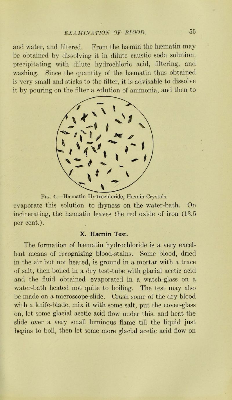 and water, and filtered. Froin the ha?min the ha?matin may be obtained by dissolving it in dilute caustic soda solution, precipitating with dilute hydrochloric acid, filtering, and washing. Since the quantity of the ha'matin thus obtained is very small and sticks to the filter, it is advisable to dissolve it by pouring on the filter a solution of ammonia, and then to Fig. 4.—Hsematin Hydrochloride, HjEmin Crystals. evaporate this solution to dryness on the water-bath. On incinerating, the hsematin leaves the red oxide of iron (13.5 per Cent.). X. Haemin Test. The formation of hsematin hydrochloride is a very excel- lent means of recognizing blood-stains. Some blood, dried in the air but not heated, is ground in a mortar with a trace of salt, then boiled in a dry test-tube with glacial acetic acid and the fluid obtained evaporated in a watch-glass on a water-bath heated not quite to boiling. The test may also be made on a microscope-slide. Crush some of the dry blood with a knife-blade, mix it with some salt, put the cover-glass on, let some glacial acetic acid flow under this, and heat the slide over a very small luminous flame tili the liquid just begins to boil, then let some more glacial acetic acid flow on