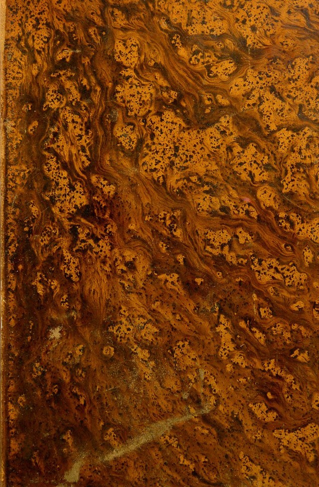 digitised image 1