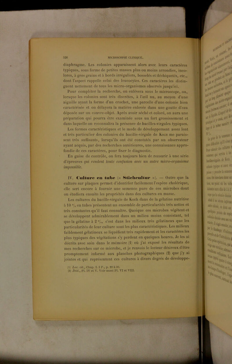diaphragmc. Lcs colonies apparaissent alors avec leurs caraclòres typiqucs, sous forme de petites masses plus ou moins arrondics, inco- lores, à gros grains et à bords irréguliers, bosselés efdéchiquetés, etc., dont l’aspect rappelle celui des leucocytes. Ces caractères les distin- guent neltement de tous les micro-organismes obscrvés jusqu’ici. Pour compléter la recherche, on enlèvera sous le microscope, ou, lorsque les colonies sont irès discrètes, à Tocil nu, au moyen d’une aiguille ayant la forme d’un crochet, une parcelle d’une colonie bien caraetérisée et on délayera la matiòre enlevée dans une goutte d’eau déposée sur un couvre-objet. Après avoir séché et coloré, on aura une préparalion qui pourra ótre examinée sous un fort grossissement et dans laquelle on reconnaìtra la présence de bacilles-virgules typiques. Les formes caraetéristiques et le mode de développement assez lent et très particulier des colonies du bacille-virgule de Koch me parais- sent tròs sutìisants, lorsqu’ils ont été constatés par un observateur ayant acquis, par des recherches antérieures, une connaissance appro- fondiede ces caractères, pour fìxer le diagnostic. En guise de contròie, on fera toujours bien de recourir à une serie d’épreuves qui renclenl tonte confusion avec un aulre micro-orqanisme impossible. IV. Culture cu tube (« Ntielieultiir »). — Outre que la culture sur plaques permet d’identitìer facilement l’espòce cholérique, elle sert encore à fournir une semence pure de ces microbes dont on étudiera ensuite les propriétés dans des cultures en masse. Les cultures ilu bacille-virgule de Koch dans de la gélatine nutritive à 10 ®/o en tubes présentent un ensemble de particularités très nettes et très constantes qu’il faut connaìtre. Quoique ces microbes végètentet se développent admirablement dans un milieu moins consistant, tei que la gélatine à 2 %, c’est dans les milieux très gélatineux que les particularités de leur culture sont les plus caraetéristiques. Les milieux faiblement gélatineux se liquéfìent très rapidement et les caractères les plus typiques des végétations s’y perdent en quelques beures. Je les ai décrits avec soin dans le mémoire (1) où j’ai exposé les résultats de mes recherches sur ce microbe, et je renvois b; lecteur désireux d ótre pi’omptement informé aux planches pliotograpliiques (2) que j’y ai jointes et qui représentent ces cultures à divers degrés de développe- (1) Loc. cit., Cliap. I. I P., p. 22 à 30.