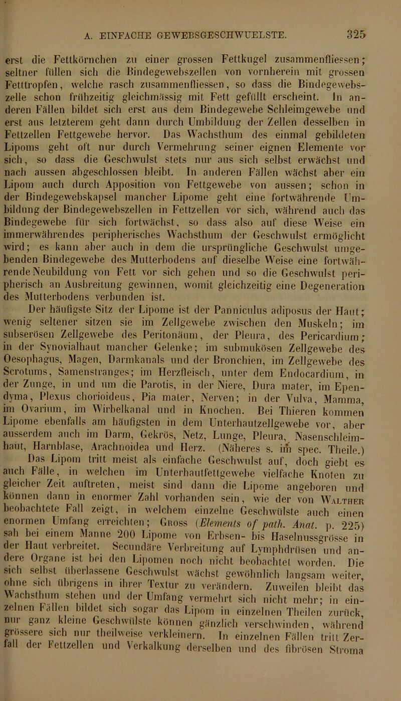 erst die Fettkörnchen zu einer grossen Fettkugel zusammenfiiessen; seltner füllen sich die Bindegewebszellen von vornherein mit grossen Fetttropfen, welche rasch zusammenfiiessen, so dass die Bindegewebs- zelle schon frühzeitig gleichmassig mit Fett gefüllt erscheint, ln an- deren Fällen bildet sich erst aus dem Bindegewebe Schleimgewebe und erst aus letzterem geht dann durch Umbildung der Zellen desselben in Fettzellen Fettgewebe hervor. Das Wachsthum des einmal gebildeten Lipoms geht oft nur durch Vermehrung seiner eignen Elemente vor sich, so dass die Geschwulst stets nur aus sich selbst erwächst und nach aussen abgeschlossen bleibt. In anderen Fällen wächst aber ein Lipom auch durch Apposition von Fettgewebe von aussen; schon in der Bindegewebskapsel mancher Lipome geht eine fortwährende Um- bildung der Bindegewebszellen in Fettzellen vor sich, während auch das Bindegewebe für sich fortwächst, so dass also auf diese Weise ein immerwährendes peripherisches Wachsthum der Geschwulst ermöglicht wird; es kann aber auch in dem die ursprüngliche Geschwulst umge- benden Bindegewebe des Mutterbodens auf dieselbe Weise eine fortwäh- rende Neubildung von Fett vor sich gehen und so die Gesclwulst peri- pherisch an Ausbreitung gewinnen, w'omit gleichzeitig eine Degeneration des Mutterbodens verbunden ist. Der häufigste Sitz der Lipome ist der Panniculus adiposus der Haut; wenig seltener sitzen sie im Zellgewebe zwischen den Muskeln; im subserösen Zellgewebe des Peritonäum, der Pleura, des Pericardiurn; in der Synovialhaut mancher Gelenke; im submukösen Zellgewebe des Oesophagus, Magen, Darmkanals und der Bronchien, im Zellgewebe des Scrotums, Samenstranges; im Herzfleisch, unter dem Endocardium, in der Zunge, in und um die Parotis, in der Niere, Dura mater, im Epen- dyma, Plexus chorioideus, Pia mater, Nerven; in der Vulva, Mamma, im Ovarium, im Wirbelkanal und in Knochen. Bei Thieren kommen Lipome ebenfalls am häufigsten in dem Unterhautzellgewebe vor, aber ausserdem auch im Darm, Gekrös, Netz, Lunge, Pleura, Nasenschleim- haut, Harnblase, Arachnoidea und Herz. (Näheres s. ifh spec. Theile.) Das Lipom tritt meist als einfache Geschwulst auf, doch giebt es auch Fälle, in welchen im Unterhautfettgewebe vielfache Knoten zu gleicher Zeit auftreten, meist sind dann die Lipome angeboren und können dann in enormer Zahl vorhanden sein, wie der von Walther beobachtete Fall zeigt, in welchem einzelne Geschwülste auch einen enormen Umlang erreichten; Gross (Elements of path. Anat. p 225) sah bei einem Manne 200 Lipome von Erbsen- bis Haselnussgrösse in der Haut verbreitet. Secundäre Verbreitung auf Lymphdrüsen°und an- dere Organe ist hei den Lipomen noch nicht beobachtet worden. Die sich selbst überlassene Geschwulst wächst gewöhnlich langsam weiter ohne sich übrigens in ihrer Textur zu verändern. Zuweilen bleibt das Wachsthum stehen und der Umfang vermehrt sich nicht mehr; in ein- zelnen Fällen bildet sich sogar das Lipom in einzelnen Theilen zurück nui ganz kleine Geschwülste können gänzlich verschwinden, während grossere sich nur theilwcise verkleinern. In einzelnen Fällen tritt Zer- fall der Fettzellen und Verkalkung derselben und des fibrösen Stroma