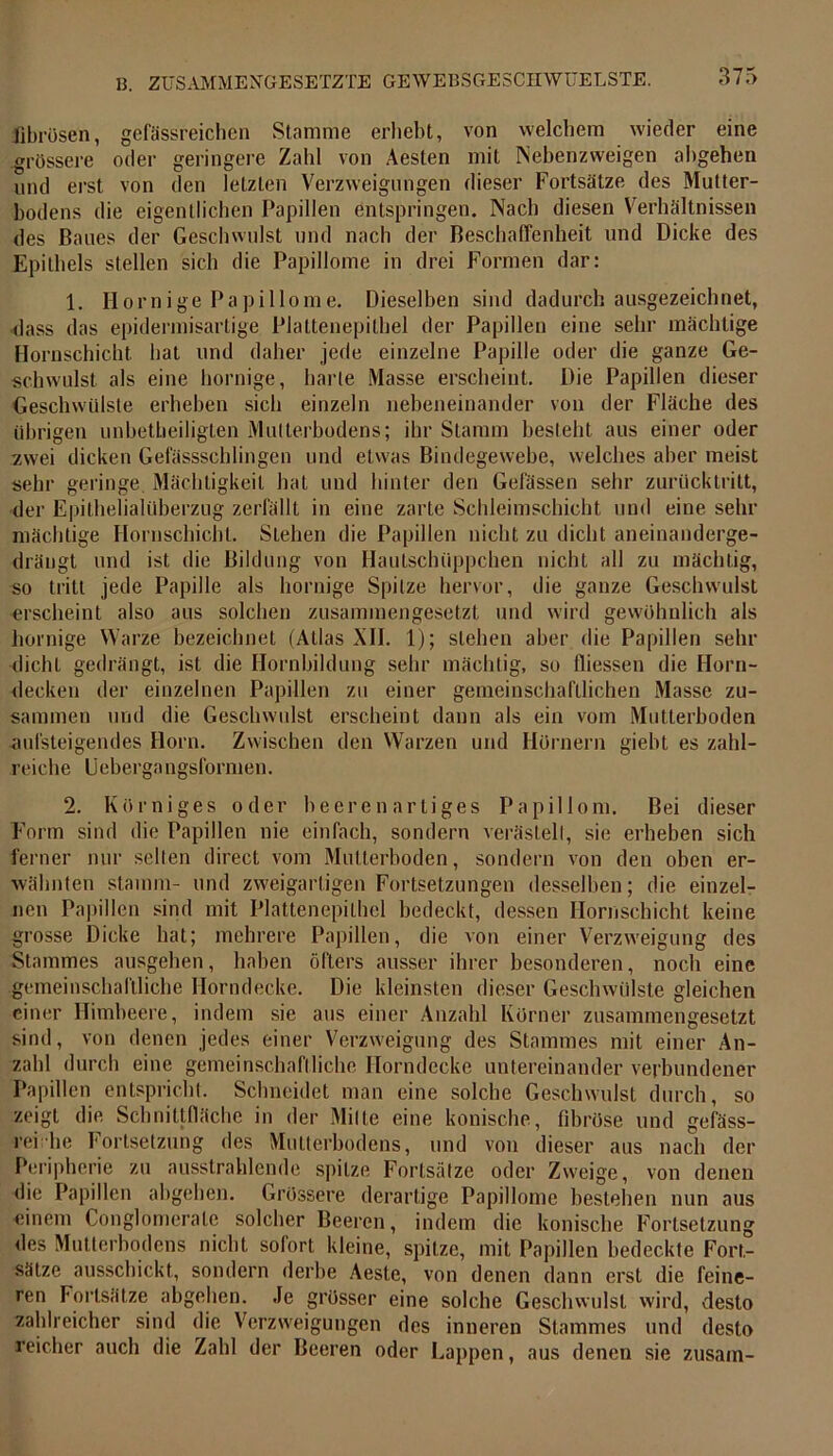 fibrösen, gefässreichen Stamme erhebt, von welchem wieder eine grössere oder geringere Zahl von Aesten mit Nebenzweigen abgehen und erst von den letzten Verzweigungen dieser Fortsätze des Mutter- bodens die eigentlichen Papillen entspringen. Nach diesen Verhältnissen des Baues der Geschwulst und nach der Beschaffenheit und Dicke des Epithels stellen sich die Papillome in drei Formen dar: 1. Hornige Papillome. Dieselben sind dadurch ausgezeichnet, dass das epidermisartige Plattenepithel der Papillen eine sehr mächtige Hornschicht, hat und daher jede einzelne Papille oder die ganze Ge- schwulst, als eine hornige, harte Masse erscheint. Die Papillen dieser Geschwülste erheben sich einzeln nebeneinander von der Fläche des übrigen unbeteiligten Multerbodens; ihr Stamm besteht aus einer oder zwei dicken Gelasssehlingen und etwas Bindegewebe, welches aber meist sehr geringe. Mächtigkeit hat und hinter den Gefässen sehr zurücktritt, •der Epithelialüberzug zerfällt in eine zarte Schleimschicht und eine sehr mächtige Hornschicht. Stehen die Papillen nicht zu dicht aneinanderge- drängt und ist die Bildung von Hautschüppchen nicht all zu mächtig, so tritt jede Papille als hornige Spitze hervor, die ganze Geschwulst erscheint also aus solchen zusammengesetzt und wird gewöhnlich als hornige Warze bezeichnet (Atlas XII. 1); stehen aber die Papillen sein- dicht gedrängt, ist die Hornbildung sehr mächtig, so fliessen die Horn- decken der einzelnen Papillen zu einer gemeinschaftlichen Masse zu- sammen und die Geschwulst erscheint dann als ein vom Mutterboden aufsteigendes Horn. Zwischen den Warzen und Hörnern gieht es zahl- reiche Uebergangsformen. 2. Körniges oder beeren artiges Papillom. Bei dieser Form sind die Papillen nie einfach, sondern verästelt, sie erheben sich ferner nur selten direct vom Mutterboden, sondern von den oben er- wähnten stamm- und zweigartigen Fortsetzungen desselben; die einzel- nen Papillen sind mit Plattenepithel bedeckt, dessen Hornschicht keine grosse Dicke hat; mehrere Papillen, die von einer Verzweigung des Stammes ausgehen, haben öfters ausser ihrer besonderen, noch eine gemeinschaftliche Horndecke. Die kleinsten dieser Geschwülste gleichen einer Himbeere, indem sie aus einer Anzahl Körner zusammengesetzt sind, von denen jedes einer Verzweigung des Stammes mit einer An- zahl durch eine gemeinschaftliche Ilorndecke untereinander verbundener Papillen entspricht. Schneidet man eine solche Geschwulst durch, so zeigt die Schnittfläche in der Milte eine konische, fibröse und gefäss- rei he Fortsetzung des Mutterbodens, und von dieser aus nach der Peripherie zu ausstrahlende spitze Fortsätze oder Zweige, von denen die Papillen abgehen. Grössere derartige Papillome bestehen nun aus einem Conglomerale solcher Beeren, indem die konische Fortsetzung des Mutterbodens nicht sofort kleine, spitze, mit Papillen bedeckte Fort- sätze ausschickt, sondern derbe Aeste, von denen dann erst die feine- ren Fortsätze abgehen. Je grösser eine solche Geschwulst wird, desto zahlreicher sind die Verzweigungen des inneren Stammes und desto reicher auch die Zahl der Beeren oder Lappen, aus denen sie zusam-