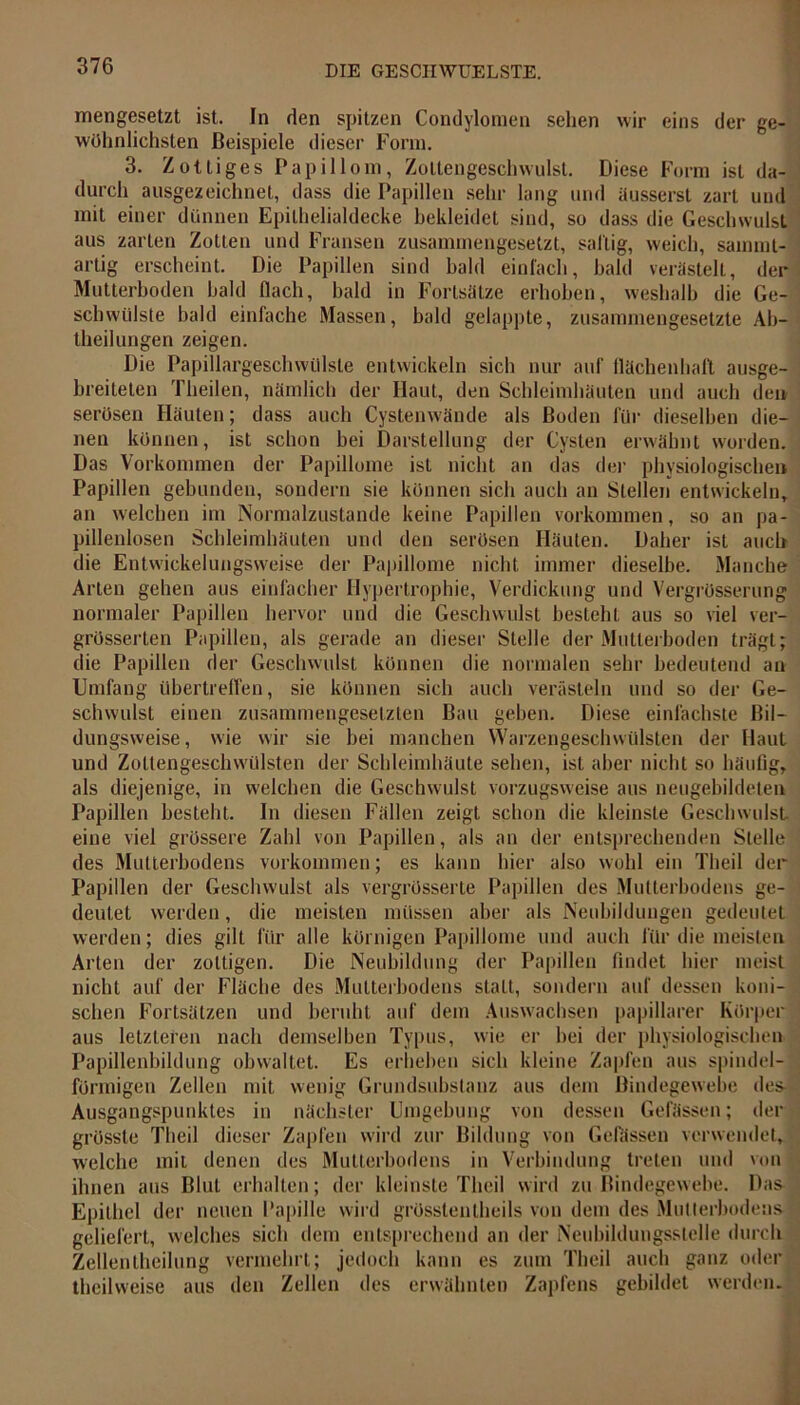 mengesetzt ist. In den spitzen Condylomen sehen wir eins der ge- wöhnlichsten Beispiele dieser Form. 3. Zottiges Papillom, Zotlengeschwulst. Diese Form ist da- durch ausgezeichnet, dass die Papillen sehr lang und äusserst zart und mit einer dünnen Epithelialdecke bekleidet sind, so dass die Geschwulst aus zarten Zotten und Fransen zusammengesetzt, sättig, weich, sammt- artig erscheint. Die Papillen sind bald einfach, bald verästelt, der Mutterboden bald flach, bald in Fortsätze erhoben, weshalb die Ge- schwülste bald einfache Massen, bald gelappte, zusammengesetzte Ab- theilungen zeigen. Die Papillargeschwülste entwickeln sich nur auf flächenhaft ausge- breiteten Theilen, nämlich der Haut, den Schleimhäuten und auch den serösen Häuten; dass auch Cystenwände als Boden für dieselben die- nen können, ist schon bei Darstellung der Cysten erwähnt worden. Das Vorkommen der Papillome ist nicht an das der physiologischen Papillen gebunden, sondern sie können sich auch an Stellen entwickeln, an welchen im Normalzustände keine Papillen Vorkommen, so an pa- pillenlosen Schleimhäuten und den serösen Häuten. Daher ist auch die Entwickelungsweise der Papillome nicht immer dieselbe. Manche Arten gehen aus einfacher Hypertrophie, Verdickung und Vergrösserung normaler Papillen hervor und die Geschwulst besteht aus so viel ver- grösserten Papillen, als gerade an dieser Stelle der Mutterboden trägt; die Papillen der Geschwulst können die normalen sehr bedeutend an Umfang übertreffen, sie können sich auch verästeln und so der Ge- schwulst einen zusammengesetzten Bau geben. Diese einfachste ßil- dungsweise, wie wir sie bei manchen Warzengeschwülsten der Haut und Zottengeschwülsten der Schleimhäute sehen, ist aber nicht so häufig, als diejenige, in welchen die Geschwulst vorzugsweise aus neugebildeten Papillen besteht. In diesen Fällen zeigt schon die kleinste Geschwulst eine viel grössere Zahl von Papillen, als an der entsprechenden Stelle des Mutterhodens Vorkommen; es kann hier also wohl ein Tlieil der Papillen der Geschwulst als vergrösserte Papillen des Mutterbodens ge- deutet werden, die meisten müssen aber als Neubildungen gedeutet werden; dies gilt für alle körnigen Papillome und auch für die meisten Arten der zottigen. Die Neubildung der Papillen findet hier meist nicht auf der Fläche des Mutterbodens statt, sondern auf dessen koni- schen Fortsätzen und beruht auf dem Auswachsen papillärer Körper aus letzteren nach demselben Typus, wie er bei der physiologischen Papillenbildung obwaltet. Es erheben sich kleine Zapfen aus spindel- förmigen Zellen mit wenig Grundsubstanz aus dem Bindegewebe des Ausgangspunktes in nächster Umgebung von dessen Gefässen; der grösste Tlieil dieser Zapfen wird zur Bildung von Gelassen verwendet, welche mit denen des Mutterbodens in Verbindung treten und von ihnen aus Blut erhalten; der kleinste Tlieil wird zu Bindegewebe. Das Epithel der neuen Papille wird grösstentheils von dem des Mutierbodens geliefert, welches sich dem entsprechend an der Neubildungsslelle durch Zellentheilung vermehrt; jedoch kann es zum Tlieil auch ganz oder thcilweise aus den Zellen des erwähnten Zapfens gebildet werden.