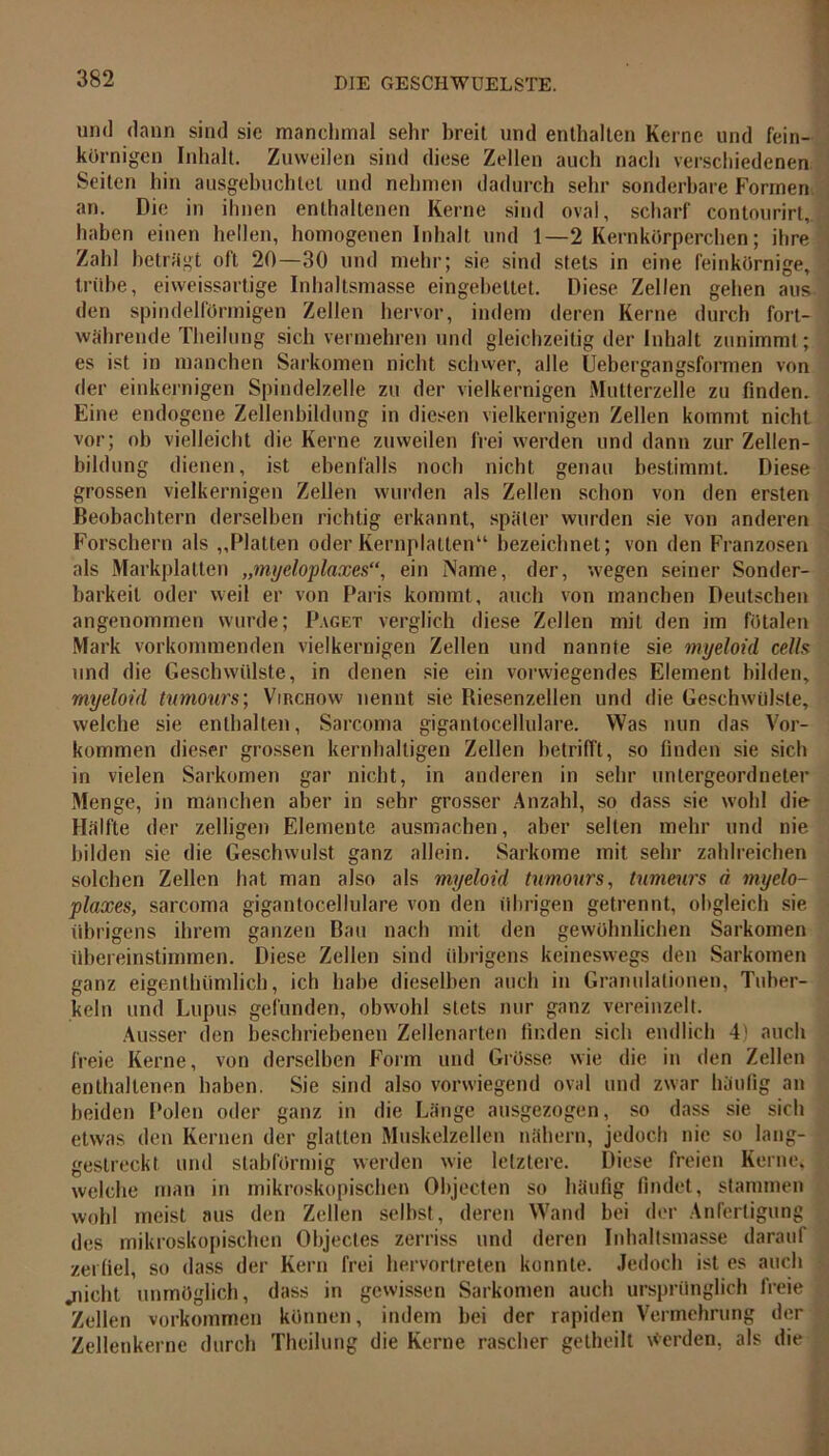 und dann sind sic manchmal sehr breit und enthalten Kerne und fein- körnigen Inhalt. Zuweilen sind diese Zellen auch nach verschiedenen Seiten hin ausgebuchtel und nehmen dadurch sehr sonderbare Formen an. Die in ihnen enthaltenen Kerne sind oval, scharf contourirl, haben einen hellen, homogenen Inhalt und 1—2 Kernkörperchen; ihre Zahl betrügt oft 20—30 und mehr; sie sind stets in eine feinkörnige, trübe, eiweissartige Inhaltsmasse eingebettet. Diese Zellen gehen aus den spindelförmigen Zellen hervor, indem deren Kerne durch fort- währende Theilung sich vermehren und gleichzeitig der Inhalt zunimmt; es ist in manchen Sarkomen nicht schwer, alle Uebergangsformen von der einkernigen Spindelzelle zu der vielkernigen Mutterzelle zu finden. Eine endogene Zellenbildung in diesen vielkernigen Zellen kommt nicht vor; ob vielleicht die Kerne zuweilen frei werden und dann zur Zellen- bildung dienen, ist ebenfalls noch nicht genau bestimmt. Diese grossen vielkernigen Zellen wurden als Zellen schon von den ersten Beobachtern derselben richtig erkannt, später wurden sie von anderen Forschern als ,,Platten oder Kernplalten“ bezeichnet; von den Franzosen als Markplatten „myeloplaxes“, ein Name, der, wegen seiner Sonder- barkeit oder weil er von Paris kommt, auch von manchen Deutschen angenommen wurde; Paget verglich diese Zellen mit den im fötalen Mark vorkommenden vielkernigen Zellen und nannte sie myeloid cells und die Geschwülste, in denen sie ein vorwiegendes Element bilden, myeloid tumours; Virchow nennt sie Riesenzellen und die Geschwülste, welche sie enthalten, Sarcoma gigantocellulare. Was nun das Vor- kommen dieser grossen kernhaltigen Zellen betrifft, so finden sie sich in vielen Sarkomen gar nicht, in anderen in sehr untergeordneter Menge, in manchen aber in sehr grosser Anzahl, so dass sie wohl die Hälfte der zelligen Elemente ausmachen, aber selten mehr und nie bilden sie die Geschwulst ganz allein. Sarkome mit sehr zahlreichen solchen Zellen hat man also als myeloid tumours, tumeurs ä myelo- plaxes, sarcoma gigantocellulare von den übrigen getrennt, obgleich sie übrigens ihrem ganzen Bau nach mit den gewöhnlichen Sarkomen übereinstimmen. Diese Zellen sind übrigens keineswegs den Sarkomen ganz eigentümlich, ich habe dieselben auch in Granulationen, Tuber- keln und Lupus gefunden, obwohl stets nur ganz vereinzelt. Ausser den beschriebenen Zellenarten finden sich endlich 4) auch freie Kerne, von derselben Form und Grösse wie die in den Zellen enthaltenen haben. Sie sind also vorwiegend oval und zwar häufig an beiden Polen oder ganz in die Länge ausgezogen, so dass sie sich etwas den Kernen der glatten Muskelzellen nähern, jedoch nie so lang- gestreckt und stabförmig werden wie letztere. Diese freien Kerne, welche man in mikroskopischen Objecten so häufig findet, stammen wohl meist aus den Zellen selbst, deren Wand bei der Anfertigung des mikroskopischen Objectes zerriss und deren Inhaltsmasse darauf zerfiel, so dass der Kern frei hervortreten konnte. Jedoch ist es auch .nicht unmöglich, dass in gewissen Sarkomen auch ursprünglich freie Zellen Vorkommen können, indem bei der rapiden Vermehrung der Zellenkerne durch Theilung die Kerne rascher getheilt werden, als die