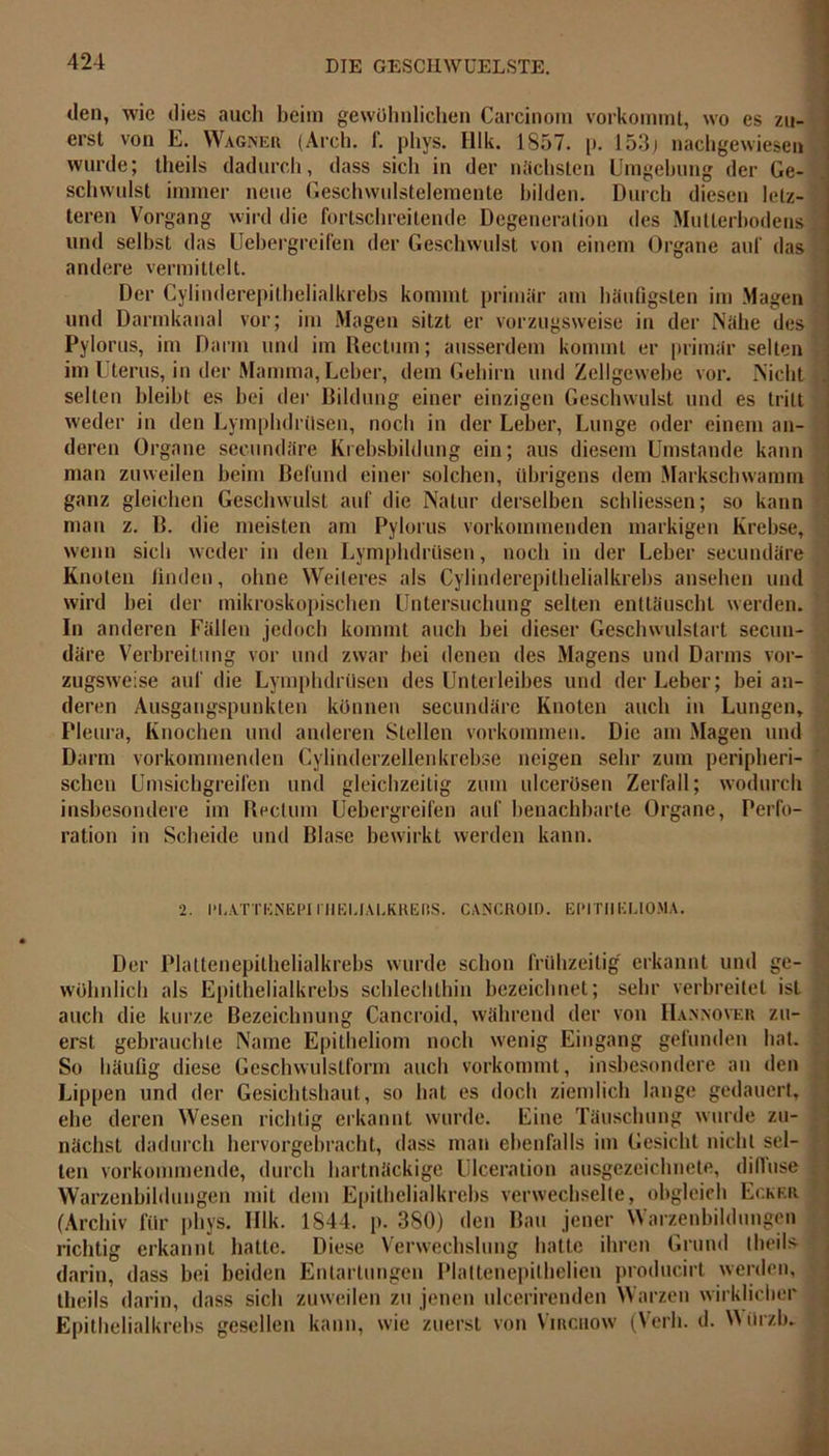 den, wie dies aucli beim gewöhnlichen Carcinom vorkommt, wo es zu- erst von E. Wagner (Arch. f. phys. Hlk. 1857. p. 153; nachgewiesen wurde; theils dadurch, dass sich in der nächsten Umgehung der Ge- schwulst immer neue Geschwulstelemente bilden. Durch diesen letz- teren Vorgang wird die fortschreitende Degeneration des Mutterhodens und selbst das Uebergreifen der Geschwulst von einem Organe auf das andere vermittelt. Der Cylinderepithelialkrebs kommt primär am häufigsten im Magen und Darmkanal vor; im Magen sitzt er vorzugsweise in der Nähe des Pylorus, im Darm und im Rectum; ausserdem kommt er primär selten im Uterus, in der Mamma, Leber, dem Gehirn und Zellgewebe vor. Nicht selten bleibt es hei der Bildung einer einzigen Geschwulst und es tritt weder in den Lymphdrüsen, noch in der Leber, Lunge oder einem an- deren Organe secundäre Krebsbildung ein; aus diesem Umstande kann man zuweilen heim Befund einer solchen, übrigens dem Markschwamm ganz gleichen Geschwulst auf die Natur derselben schliessen; so kann man z. B. die meisten am Pylorus vorkommenden markigen Krebse, wenn sich weder in den Lymphdrüsen, noch in der Leber secundäre Knoten finden, ohne Weiteres als Cylinderepithelialkrebs ansehen und wird hei der mikroskopischen Untersuchung selten enttäuscht werden. In anderen Fällen jedoch kommt auch hei dieser Geschwulstart secun- däre Verbreitung vor und zwar bei denen des Magens und Darms vor- zugsweise auf die Lymphdrüsen des Unterleibes und der Leber; bei an- deren Ausgangspunkten können secundäre Knoten auch in Lungen, Pleura, Knochen und anderen Stellen Vorkommen. Die am Magen und Darm vorkommenden Cylinderzellenkrebse neigen sehr zum peripheri- schen Umsichgreifen und gleichzeitig zum ulcerösen Zerfall; wodurch insbesondere im Rectum Uebergreifen auf benachbarte Organe, Perfo- ration in Scheide und Blase bewirkt werden kann. 2. PI.ATTENEPI l'HEMALKRERS. CANCROID. EPITHELIOMA. ■ Der Plattenepithelialkrebs wurde schon frühzeitig' erkannt und ge- wöhnlich als Epithelialkrebs schlechthin bezeichnet; sehr verbreitet ist auch die kurze Bezeichnung Cancroid, während der von Hannover zu- erst gebrauchte Name Epitheliom noch wenig Eingang gefunden hat. So häufig diese Geschwulstform auch vorkommt, insbesondere an den Lippen und der Gesichtshaut, so hat es doch ziemlich lange gedauert, ehe deren Wesen richtig erkannt wurde. Eine Täuschung wurde zu- nächst dadurch hervorgebracht, dass man ebenfalls im Gesicht nicht sel- ten vorkommende, durch hartnäckige Ulceralion ausgezeichnete, diffuse ; Warzenbildungen mit dem Epithelialkrebs verwechselte, obgleich Ecker (Archiv für phys. Hlk. 1844. p. 380) den Bau jener Warzenbildungen richtig erkannt batte. Diese Verwechslung hatte ihren Grund theils darin, dass bei beiden Entartungen Plaltenepilhelien producirt werden, theils darin, dass sich zuweilen zu jenen ulcerirenden Warzen wirklicher Epithelialkrebs gesellen kann, wie zuerst von Virchow (Verb. d. Würzb-