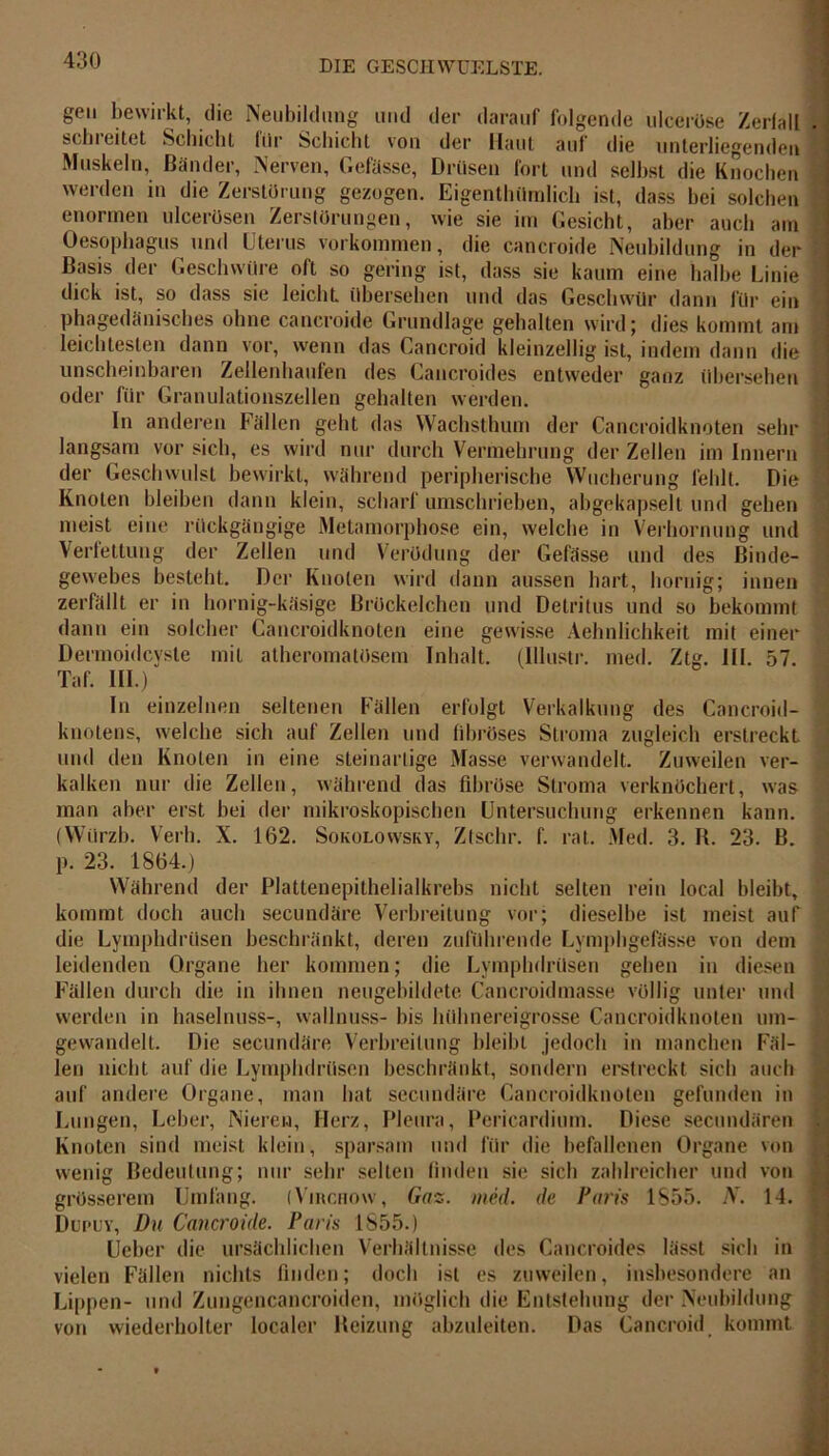 gen bewirkt, die Neubildung und der darauf folgende ulceröse Zerfall schreitet Schicht für Schicht von der Haut auf die unterliegenden Muskeln, Bänder, Nerven, Gefässe, Drusen fort und seihst die Knochen werden in die Zerstörung gezogen. Eigentümlich ist, dass hei solchen enormen ulcerösen Zerstörungen, wie sie im Gesicht, aber auch am Oesophagus und Uterus Vorkommen, die cancroide Neubildung in der Basis der Geschwüre oft so gering ist, dass sie kaum eine halbe Linie dick ist, so dass sie leicht übersehen und das Geschwür dann für ein phagedänisches ohne cancroide Grundlage gehalten wird; dies kommt am leichtesten dann vor, wenn das Cancroid kleinzellig ist, indem dann die unscheinbaren Zellenhaufen des Cancroides entweder ganz übersehen oder für Granulationszellen gehalten werden. ln anderen Fällen geht das Wachsthum der Cancroidknoten sehr langsam vor sich, es wird nur durch Vermehrung der Zellen im Innern der Geschwulst bewirkt, während peripherische Wucherung fehlt. Die Knoten bleiben dann klein, scharf umschrieben, ahgekapselt und gehen meist eine rückgängige Metamorphose ein, welche in Verhornung und Verfettung der Zellen und Verödung der Gefässe und des Binde- gewebes besteht. Der Knoten wird dann aussen hart, hornig; innen zerfällt er in hornig-käsige Brückelchen und Detritus und so bekommt dann ein solcher Cancroidknoten eine gewisse Aehnlichkeit mit einer Dermoidcyste mit atheromatösem Inhalt. (Illustr. med. Ztg. llf. 57. Taf. III.) In einzelnen seltenen Fällen erfolgt Verkalkung des Cancroid- knotens, welche sich auf Zellen und fibröses Stroma zugleich erstreckt und den Knoten in eine steinartige Masse verwandelt. Zuweilen ver- kalken nur die Zellen, während das fibröse Stroma verknöchert, was man aber erst hei der mikroskopischen Untersuchung erkennen kann. (Würzb. Verb. X. 162. Sokolovvsrv, Ztschr. f. rat. Med. 3. B. 23. B. p. 23. 1864.) Während der Plattenepithelialkrebs nicht selten rein local bleibt, kommt doch auch secundäre Verbreitung vor; dieselbe ist meist auf die Lymphdrüsen beschränkt, deren zuführende Lymphgefässe von dem leidenden Organe her kommen; die Lymphdrüsen gehen in diesen Fällen durch die in ihnen neugebildete Cancroidmasse völlig unter und werden in haselnuss-, wallnuss- bis hühnereigrosse Cancroidknoten um- gewandelt. Die secundäre Verbreitung bleibt jedoch in manchen Fäl- len nicht auf die Lymphdrüsen beschränkt, sondern erstreckt sich auch auf andere Organe, man hat secundäre Cancroidknoten gefunden in Lungen, Leber, Nieren, Herz, Pleura, Pcricardium. Diese secundären Knoten sind meist klein, sparsam und für die befallenen Organe von wenig Bedeutung; nur sehr selten finden sie sich zahlreicher und von grösserem Umfang. (Virchow, Gaz. med. de Paris 1855. N. 14. Dupuy, Du Cancroide. Paris 1S55.) Ueber die ursächlichen Verhältnisse des Cancroides lässt sich in vielen Fällen nichts finden; doch ist es zuweilen, insbesondere an Lippen- und Zungencancroiden, möglich die Entstehung der Neubildung von wiederholter localer Heizung abzuleiten. Das Cancroid kommt
