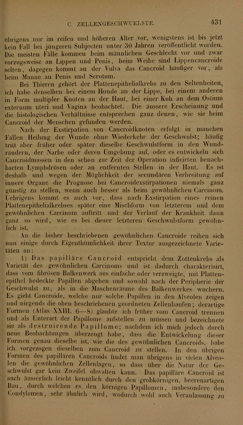 übrigens nur im reifen und höheren Alter vor, wenigstens ist bis jetzt kein”Fall hei jüngeren Subjecten unter 30 Jahren veröffentlicht worden. Die meisten Fälle kommen beim männlichen Geschlecht vor und zwar vorzugsweise an Lippen und Penis, beim Weibe sind Lippencancroide selten, dagegen kommt an der Vulva das Cancroid häufiger vor, als beim Manne an Penis und Scrotum. Bei 'Filieren gehört der Plattenepithelialkrebs zu den Seltenheiten, ich habe denselben bei einem Hunde an der Lippe, bei einem anderen in Form multipler Knoten an der Haut, bei einer Kuh an dem Oslium externum uleri und Vagina beobachtet. Die äussere Erscheinung und die histologischen Verhältnisse entsprechen ganz denen, wie sie beim Cancroid der Menschen gefunden werden. Nach der Exstirpation von Cancroidknoten ei folgt in manchen Fällen Heilung der Wunde ohne Wiederkehr der Geschwulst; häufig tritt aber früher oder später dieselbe Geschwulstform in den Wund- rändern, der Narbe oder deren Umgebung auf, oder es entwickeln sich Cancroidmassen in den schon zur Zeit der Operation inficirten benach- barten Lympbdrüsen oder an entfernten Stellen in der Haut. Es ist deshalb und wegen der Möglichkeit der secundären Verbreitung auf innere Organe die Prognose bei Cancroidexslirpalionen niemals ganz günstig zu stellen, wenn auch besser als heim gewöhnlichen Carcinom. Uebrigens kommt es auch vor, dass nach Exstirpation eines reinen Plattenepithelialkrebses später eine Mischform von letzterem und dem gewöhnlichen Carcinom auftritt und der Verlauf der Krankheit dann ganz so wird, wie es hei dieser letzteren Geschwulstform gewöhn- lich ist. An die bisher beschriebenen gewöhnlichen Cancroide reihen sich nun einige durch Ei gen th ü ml i ch k ei t ihrer Textur ausgezeichnete Varie- täten an: 1) Das papilläre Cancroid entspricht dem Zottenkrebs als Varietät des gewöhnlichen Carcinoms und ist dadurch charakterisirl, dass vom fibrösen Balkenwerk aus einfache oder verzweigte, mit Platten- epilhel bedeckte Papillen abgehen und sowohl nach der Peripherie der Geschwulst zu, als in die Maschenräume des Balkenwerkes wuchern. Es giebt Cancroide, welche nur solche Papillen in den Alveolen zeigen und nirgends die oben beschriebenen geordneten Zellenhaufen; derartige Formen (Atlas XX11I. 6—8) glaubte ich früher vom Cancroid trennen und als Unterart der Papillome aufstellen zu müssen und bezeichnete sie als destruirende Papillome; nachdem ich mich jedoch durch neue Beobachtungen überzeugt habe, dass die Entwickelung dieser Formen genau dieselbe ist, wie die des gewöhnlichen Cancroids, habe ich vorgezogen dieselben zum Cancroid zu stellen. In den übrigen Formen des papillären Cancroids findet man übrigens in vielen Alveo- len die gewöhnlichen Zellenlagen, so dass über die Natur der Ge- schwulst gar kein Zweifel obwalten kann. Das papilläre Cancroid ist auch äusserlich leicht kenntlich durch den grobkörnigen, beerenartigen Bau, durch welchen es den körnigen Papillomen, insbesondere den Condylomen, sehr ähnlich wird, wodurch wohl auch Veranlassung zu