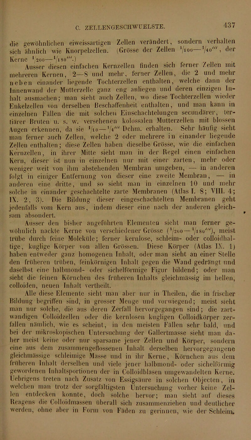 die gewöhnlichen eiweissartigen Zellen verändert, sondern verhalten sich ähnlich wie Knorpelzellen. (Grosse der Zellen '/ioo—'/io'“ , der Kerne ^'200—i/now.) Ausser diesen einfachen Kernzellen finden sich ferner Zellen mit mehreren Kernen, 2—8 und mehr, ferner Zellen, die 2 und mehr liehen einander liegende Tochterzellen enthalten, welche dann der Innenwand der Mutterzelle ganz eng anliegen und deren einzigen In- halt ausmachen; man sieht auch Zellen, wo diese Tochterzellen wieder Enkelzellen von derselben Beschaffenheit enthalten, und man kann in einzelnen Fällen die mit solchen Einschachtelungen secundärer, ter- tiärer Bruten u. s. w. versehenen kolossalen Mutterzellen mit blossen Augen erkennen, da sie J/i0 — ’/U Dehrn, erhalten. Sehr häufig sieht man ferner auch Zellen, welche 2 oder mehrere in einander liegende Zellen enthalten; diese Zellen haben dieselbe Grösse, wie die einfachen Kernzellen, in ihrer Mitte sieht man in der Regel einen einfachen Kern, dieser ist nun in einzelnen nur mit einer zarten, mehr oder weniger weit von ihm abstehenden Membran umgeben, — in anderen folgt in einiger Entfernung von dieser eine zweite Membran, — in anderen eine dritte, und so sieht man in einzelnen 10 und mehr solche in einander geschachtelte zarte Membranen (Atlas I. 8; VIII. 4; IX. 2, 3). Die Bildung dieser eingeschachtelten Membranen geht jedenfalls vom Kern aus, indem dieser eine nach der anderen gleich- sam absondert. Ausser den bisher angeführten Elementen sieht man ferner ge- wöhnlich nackte Kerne von verschiedener Grösse (’/soo—*/iso//y), meist trübe durch feine Moleküle; ferner kernlose, schleim- oder colloidhal- tige, kuglige Körper von allen Grössen. Diese Körper (Atlas IX. 1) haben entweder ganz homogenen Inhalt, oder man sieht an einer Stelle den früheren trüben, feinkörnigen Inhalt gegen die Wand gedrängt mul daselbst eine halbmond- oder sichelförmige Figur bildend; oder man sieht die feinen Körnchen des früheren Inhalts gleichmässig im hellen, colloiden, neuen Inhalt vertheilt. Alle diese Elemente sieht man aber nur in Theilen, die in frischer Bildung begriffen sind, in grosser Menge und vorwiegend; meist sieht man nur solche, die aus deren Zerfall hervorgegangen sind; die zart- wandigen Colloidzellen oder die kernlosen kugligen Colloidkürper zer- fallen nämlich, wie es scheint, in den meisten Fällen sehr bald, und bei der mikroskopischen Untersuchung der Gallertmasse sieht man da- her meist keine oder nur sparsame jener Zellen und Körper, sondern eine aus dem zusammengeflossenen Inhalt derselben hervorgegangene gleichmässige schleimige Masse und in ihr Kerne, Körnchen aus dem früheren Inhalt derselben und viele jener halbmond- oder sichelförmig gewordenen Inhaltsportionen der in Colloidblasen umgewandelten Kerne. Uebrigens treten nach Zusatz von Essigsäure in solchen Objecten, in welchen man trotz der sorgfältigsten Untersuchung vorher keine Zel- len entdecken konnte, doch solche hervor; man sieht auf dieses Reagens die Colloidmassen überall sich zusammenziehen und deutlicher werden, ohne aber in Form von Fäden zu gerinnen, wie der Schleim.