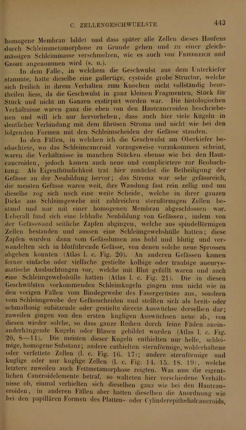 homogene Membran bildet, und das» später alle Zellen dieses Haufens <lurch f'chleimmetamorphose zu Grunde gehen und zu einer gleich- mässigen Scbleimmasse verschmelzen, wie es auch von Friedreich und Grohe angenommen wird (s. u.). ln dem Falle, in welchem die Geschwulst aus dem Unterkiefer stammte, hatte dieselbe eine gallertige, cystoide grobe Structur, welche sich freilich in ihrem Verhallen zum Knochen nicht vollständig beur- theilen liess, da die Geschwulst in ganz kleinen Fragmenten, Stück für Stück und nicht im Ganzen exstirpirt worden war. Die histologischen Verhältnisse waren ganz die eben von den Hautcancroiden beschriebe- nen und will ich nur hervorheben, dass auch hier viele Kugeln in deutlicher Verbindung mit dem fibrösen Stroma und nicht wie bei den folgenden Formen mit den Schleimscheiden der Gefässe standen. In den Fällen, in welchen ich die Geschwulst am Oberkiefer be- obachtete, wo das Schleimcancroid vorzugsweise vorzukommen scheint, waren die Verhältnisse in manchen Stücken ebenso wie bei den Haut- cancroiden , jedoch kamen auch neue und eomplicirlere zur ßeobach- tung. Als Eigenlhiimlichkeit trat hier zunächst die Betheiligung der Gefässe an der Neubildung hervor; das Stroma war sehr gefässreich, die meisten Gefässe waren weit, ihre Wandung fast rein zellig und um dieselbe zog sich noch eine weite Scheide, welche in ihrer ganzen Dicke aus Schleimgewebe mit zahlreichen sternförmigen Zellen be- stand und nur mit einer homogenen Membran abgeschlossen war. Ueberall fand sich eine lebhafte Neubildung von Gelassen, indem von der Gefässwand seitliche Zapfen abgingen, welche aus spindelförmigen Zellen bestanden und aussen eine Schleimgewebshülle hatten; diese Zapfen wurden dann vom Gefässlumen aus hohl und blutig und ver- wandelten sich in blutführende Gefässe, von denen solche neue Sprossen abgehen konnten (Atlas 1. c. Fig. 20). An anderen Gefässen kamen ferner einfache oder vielfache gestielte kolbige oder traubige aneurys- matische Ausbuchtungen vor, welche mit Blut gefüllt waren und auch eine Schleimgewebshülle hatten (Atlas 1. c. Fig. 21). Die in diesen Geschwülsten vorkommenden Schleimkugeln gingen nun nicht wie in den vorigen Fällen vom Bindegewebe des Fasergerüstes aus, sondern vom Schleimgewebe der Cefässscbeiden und stellten sich als breit- oder sclunalbasig aufsitzende oder gestielte directe Auswüchse derselben dar; zuweilen gingen von den ersten kugligen Auswüchsen neue ab, von diesen wieder solche, so dass ganze Reihen durch feine Fäden anein- anderhängende Kugeln oder Blasen gebildet wurden (Atlas 1. c. Fig. 20, 8—11). Die meisten dieser Kugeln enthielten nur helle, schlei- mige, homogene Suitstanz; andere enthielten sternförmige, wohlerhaltene oder verfettete Zellen (1. c. Fig. 16. 17); andere sternförmige und kuglige oder nur kuglige Zellen (1. c. Fig. 14. 15. 18. 19), welche letztere zuweilen auch Fettmetamorphose zeigten. Was nun die eigent- lichen Cancroidelemente betraf, so walteten hier verschiedene Verhält- nisse ob, einmal verhielten sich dieselben ganz wie bei den Hautcan- croiden, in anderen fällen aber halten dieselben die Anordnung wie bei den papillären formen des Platten- oder Cylinderepithelialcancroids,