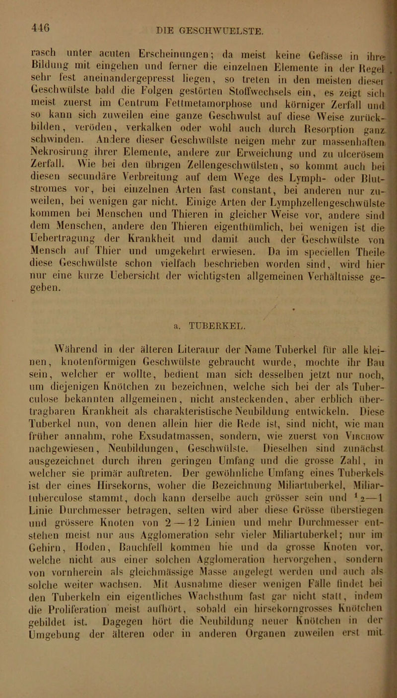 rasch unter acuten Erscheinungen; da meist keine Gefässe in ihre Bildung mit eingehen und ferner die einzelnen Elemente in der Hegel sehr lest aneinandergepresst liegen, so treten in den meisten dieser | Geschwülste bald die Folgen gestörten Stoffwechsels ein, es zeigt sich meist zuerst im Centrum Fettmetamorphose und körniger Zerfall und so kann sich zuweilen eine ganze Geschwulst auf diese Weise zurück- bilden, veröden, verkalken oder wohl auch durch Resorption ganz schwinden. Ändere dieser Geschwülste neigen mehr zur massenhaften Nekrosirung ihrer Elemente, andere zur Erweichung und zu ulcerösem Zerfall. Wie bei den übrigen Zellengeschwülsten, so kommt auch bei diesen secundäre Verbreitung auf dem Wege des Lymph- oder Blut- stromes vor, bei einzelnen Arten fast constant, bei anderen nur zu- weilen, bei wenigen gar nicht. Einige Arten der Lymphzellengeschwülste kommen bei Menschen und Thieren in gleicher Weise vor, andere sind dem Menschen, andere den Thieren eigenthiimlich, bei wenigen ist die ' u 1 O Uebertragung der Krankheit und damit auch der Geschwülste von Mensch auf Thier und umgekehrt erwiesen. Da im speciellen Theile diese Geschwülste schon vielfach beschrieben worden sind, wird hier nur eine kurze Uebersicht der wichtigsten allgemeinen Verhältnisse ge- geben. a. TUBERKEL. Während in der älteren Literatur der Name Tuberkel für alle klei- nen, knotenförmigen Geschwülste gebraucht wurde, mochte ihr Bau sein, welcher er wollte, bedient man sich desselben jetzt nur noch, um diejenigen Knötchen zu bezeichnen, welche sich bei der als Tuber- culose bekannten allgemeinen, nicht ansteckenden, aber erblich über- tragbaren Krankheit als charakteristische Neubildung entwickeln. Diese Tuberkel nun, von denen allein hier die Rede ist, sind nicht, wie man früher annahm, rohe Exsudatmassen, sondern, wie zuerst von Vibchow nachgewiesen, Neubildungen, Geschwülste. Dieselben sind zunächst ausgezeichnet durch ihren geringen Umfang und die grosse Zahl, in welcher sie primär auftreten. Der gewöhnliche Umfang eines Tuberkels ist der eines Hirsekorns, woher die Bezeichnung Miliartuberkel, Miliar- tuberculose stammt, doch kann derselbe auch grösser sein und 12—1 Linie Durchmesser betragen, selten wird aber diese Grösse überstiegen und grössere Knoten von 2 —12 Linien und mehr Durchmesser ent- stehen meist nur ans Agglomeration sehr vieler Miliartuberkel; nur im Gehirn, Hoden, Bauchfell kommen hie und da grosse Knoten vor, welche nicht aus einer solchen Agglomeration hervorgehen, sondern von vornherein als gleichmässige Masse angelegt werden und auch als solche weiter wachsen. Mit Ausnahme dieser wenigen Fälle findet hei den Tuberkeln ein eigentliches Wachsthum fast gar nicht statt, indem die Proliferation meist aufhört, sobald ein hirsekorngrosses Knötchen gebildet ist. Dagegen hört die Neubildung neuer Knötchen in der Umgebung der älteren oder in anderen Organen zuweilen erst mit