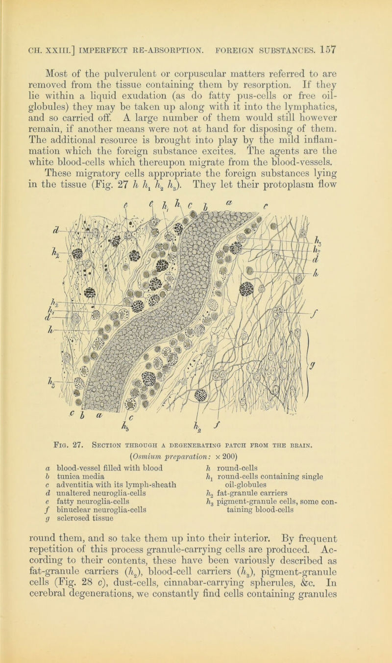 Most of the pulverulent or corpuscular matters referred to are removed from the tissue containing them by resorption. If they lie within a liquid exudation (as do fatty pus-cells or free oil- globules) they may be taken up along with it into the lymphatics, and so carried off. A large number of them would still however remain, if another means were not at hand for disposing of them. The additional resource is brought into play by the mild inflam- mation which the foreign substance excites. The agents are the white blood-cells which thereupon migrate from the blood-vessels. These migratory cells appropriate the foreign substances lying in the tissue (Fig. 27 h \ h2 h3). They let their protoplasm flow Fig. 27. Section througii A DEGENERATING PATCH FROM THE BRAIN. a b c d e f 0 (Osmium preparation: x 200) blood-vessel filled with blood tunica media adventitia with its lymph-sheath unaltered neuroglia-cells fatty neuroglia-cells binuclear neuroglia-cells sclerosed tissue li round-cells li1 round-cells containing single oil-globules ho fat-granule carriers h3 pigment-granule cells, some con- taining blood-cells round them, and so take them up into their inferior. By frequent repetition of this process granule-carrying cells are produced. Ac- cording to their contents, these have been variously described as fat-granule carriers (ht), blood-cell carriers (h8), pigment-granule cells (Fig. 28 c), dust-cells, cinnabar-carrying spherules, &c. In cerebral degenerations, we constantly find cells containing granulös