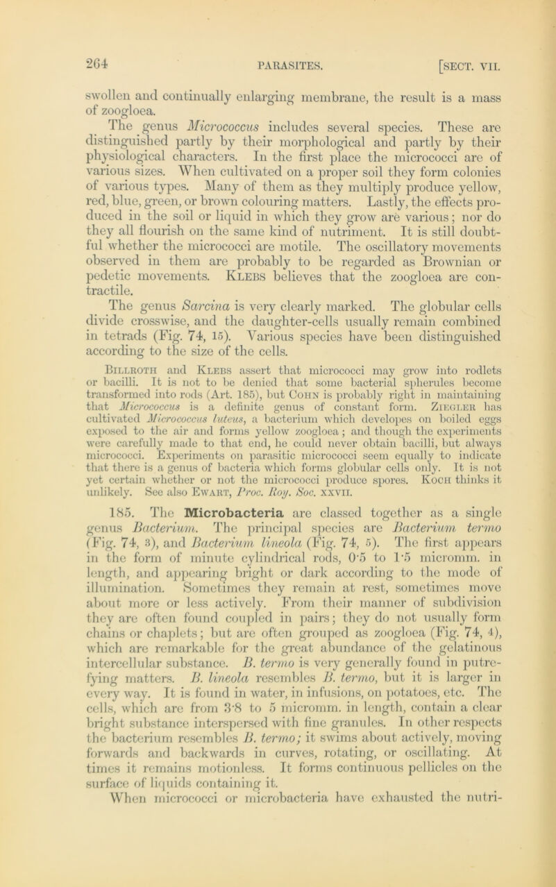 *264 PARASITES. [SECT. VII. swollen and continually enlarging membrane, the result is a mass of zoogloea. The genus Micrococcus includes several species. These arc distinguished partly by their morphological and partly by their physiological characters. In the first place the micrococci arc of various sizes. When cultivated on a proper soil they form colonies of various types. Many of them as they multiply produce yellow, red, blue, green, or brown colouring matters. Lastly, the effects pro- duced in the soil or liquid in which they grow are various; nor do they all flourish on the same kind of nutriment. It is still doubt- ful whether the micrococci are motile. The oscillatory movements observed m them are probably to be regarded as Brownian or pedetic movements. Klebs believes that the zoogloea are con- tractile. The genus Scircina is very clearly marked. The globular cells divide crosswise, and the daughter-cells usually remain combined in tetrads (Big. 74, 15). Various species have been distinguished according to the size of the cells. Billroth and Klebs assert that micrococci may grow into rodlets or bacilli. It is not to be denied that some bacterial spherules become transformed into rods (Art. 185), but Cohn is probably right in maintaining that Micrococcus is a definite genus of constant form. Ziegler has cultivated Micrococcus luteus, a bacterium which developes on boiled eggs exposed to the air and forms yellow zoogloea; and though the experiments were carefully inade to that end, he could never obtain bacilli, but always micrococci. Experiments on parasitic micrococci seem equally to indicate that there is a genus of bacteria which forms globular cells only. It is not yet certain whether or not the micrococci produce spores. Koch thinks it unlikely. Sec also Ewart, Proc. Roy. Soc. xxvii. lcS5. The Microbacteria are classed together as a single genus Bacterium. The principal species are Bacterium termo ( Big. 74, 3), and Bacterium lineola (Big. 74, 5). The first appears in the form of minute cylindrical rods, 0*5 to 1*5 micromm. in length, and appcaring bright or dark according to the mode of illumination. Sometimes they remain at rest, sometimes move about more or less actively. Brom their manner of subdivision they are often found coupled in pairs; they do not usually form chains or chaplets; but are often grouped as zoogloea (Big. 74, 4), which are remarkable for the great abundance of the gelatinous intercellular substance. B. termo is very generally found in putre- fying matters. B. lineola resembles B. termo, but it is larger in every way. It is found in water, in infusions, on potatoes, etc. The cells, which are from 3‘8 to 5 micromm. in length, contain a clear bright substance interspersed with fine granules. In other respects the bacterium resembles B. termo; it swims about actively, moving fonvards and backwards in curves, rotating, or oscillating. At times it remains motionless. It forms continuous pellicles on the surface of liquids containing it. When micrococci or microbacteria have cxhausted the nutri-