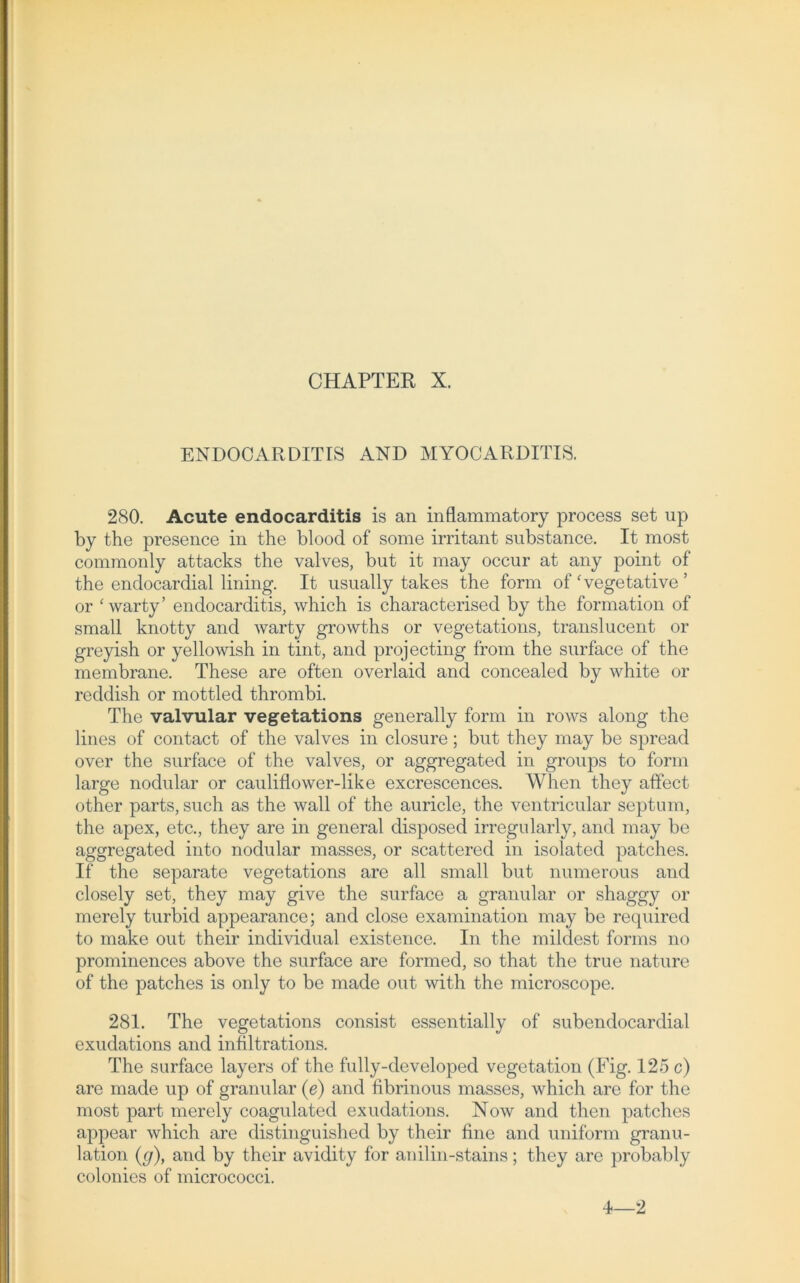 ENDOOARDITIS AND MYOCARDITIS. 280. Acute endocarditis is an inflammatory process set up by the presence in the blood of some irritant substance. It most commonly attacks the valves, but it may occur at any point of the endocardial lining. It usually takes the form of'vegetative ’ or ‘warty’ endocarditis, which is characterised by the formation of small knotty and warty growths or vegetations, translucent or greyish or yellowish in tint, and projecting from the surface of the membrane. These are often overlaid and concealed by white or reddish or mottled thrombi. The valvular vegetations generally form in rows along the lines of contact of the valves in closure; but they may be spread over the surface of the valves, or aggregated in groups to form large nodular or cauliflower-like excrescences. When they affect other parts, such as the wall of the auricle, the ventricular septum, the apex, etc., they are in general disposed irregularly, and may be aggregated into nodular masses, or scattered in isolated patches. If the separate vegetations are all small but numerous and closely set, they may give the surface a granulär or shaggy or merely turbid appearance; and close examination may be required to make out their individual existence. In the mildest forms no prominences above the surface are formed, so that the true nature of the patches is only to be made out with the microscope. 281. The vegetations consist essentially of subendocardial exudations and infiltrations. The surface layers of the fully-developed Vegetation (Fig. 125 c) are made up of granulär (e) and fibrinous masses, which are for the most part merely coagulated exudations. Now and then patches appear which are distinguished by their fine and uniform granu- lation (g), and by their avidity for anilin-stains; they are probably colonies of micrococci. 4—2