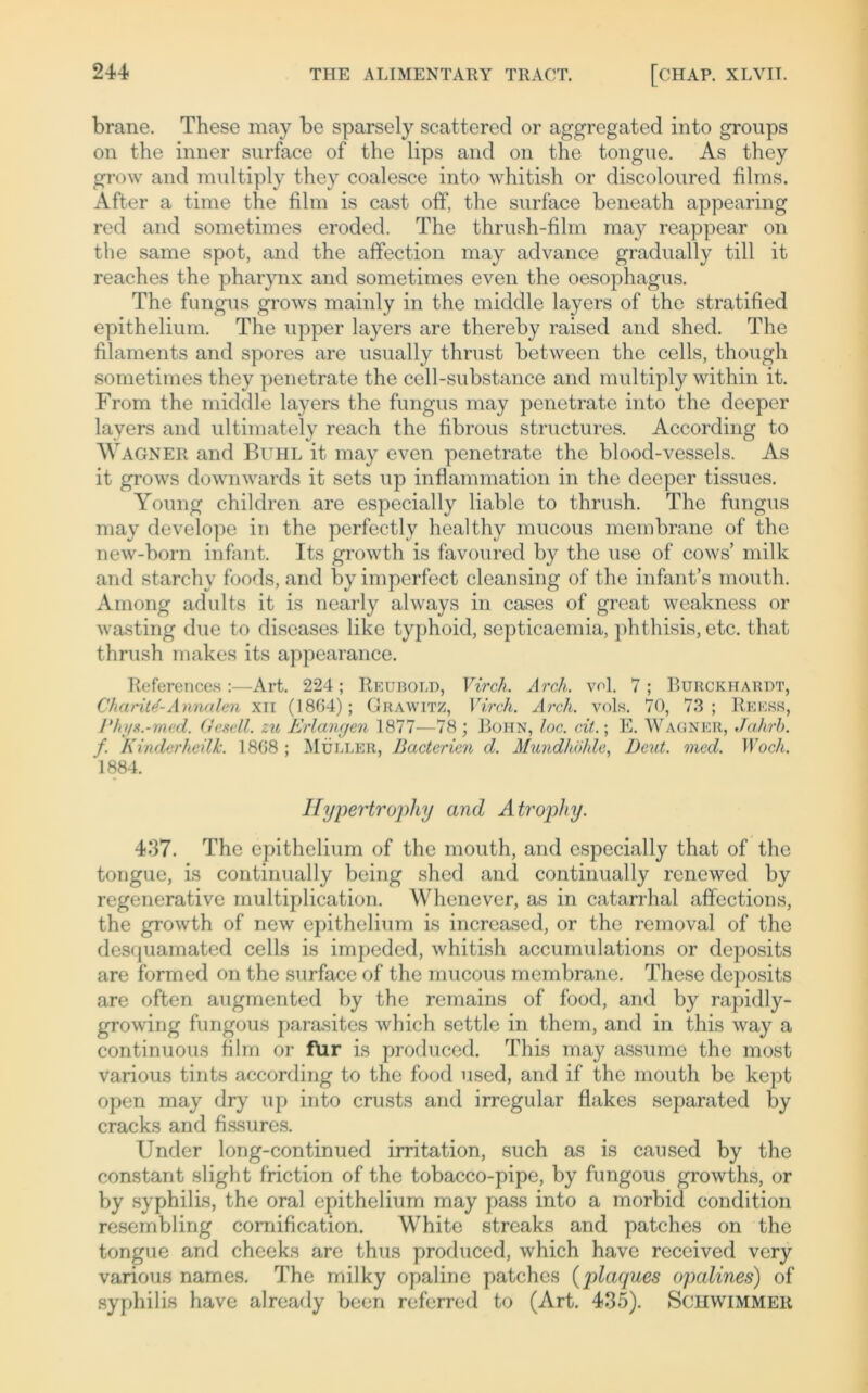 brane. These may be sparsely scattered or aggregated into groups on the inner surface of the lips and on the tongue. As they grow and multiply they coalesce into whitish or discoloured films. After a time the film is cast off, the surface beneath appearing red and sometimes eroded. The thrush-film may reappear on the same spot, and the affection may advance gradually tili it reaches the pharynx and sometimes even the oesophagus. The fungus grows mainly in the middle layers of the stratified epithelium. The upper layers are thereby raised and shed. The filaments and spores are usually thrust between the cells, though sometimes they penetrate the cell-substance and multiply within it. From the middle layers the fungus may penetrate into the deeper layers and ultimately reach the fibrous structures. According to Wagner and Buhl it may even penetrate the blood-vessels. As it grows downwards it sets up inflammation in the deeper tissues. Young children are especially liable to thrush. The fungus may develope in the perfectlv healthy mucous membrane of the new-born infant. Its growth is favoured by the use of cows’ milk and starchy foods, and by imperfect cleansing of the infant’s mouth. Among adults it is nearly always in cascs of great weakness or wasting due to diseases like typhoid, septicacmia, phthisis, etc. that thrush makes its appearance. References :—Art. 224; Reubold, Vircli. Arch. vnl. 7; Burckharüt, Charitd-Annalen xii (1864); Grawitz, Vircli. Arch. vols. 70, 73; Reess, Pkys.-med. Gesell, zu Erlangen 1877—78 ; Bohn, loc. eit.; E. Wagner, Jahrh. f. Kinderheilh. 1808; Müller, Bacterien d. Mundhöhle, Beut. med. Wocli. 1884. Hypertrophy and Atropliy. 437. The epithelium of the mouth, and especially that of the tongue, is continually being shed and continually renewed by regenerative multiplication. Whenever, as in catarrhal affections, the growth of new epithelium is increased, or the removal of the desquamated cells is impeded, whitish accumulations or deposits are formed on the surface of the mucous membrane. These deposits are offen augmented by the remains of food, and by rapidly- growing fungous parasites which settle in them, and in this way a continuous film or ftir is produced. This may assume the most various tints according to the food used, and if the mouth bc kept open may dry up into crusts and irregulär flakes separated by cracks and fissures. Under long-continued irritation, such as is caused by the constant slight friction of the tobacco-pipe, by fungous growths, or by Syphilis, the oral epithelium may pass into a morbid condition resembling comification. White streaks and patches on the tongue and chceks are thus produced, which have received very various names. The milky opaline patches (plaques opalines) of syphilis have already been referred to (Art. 435). Schwimmer