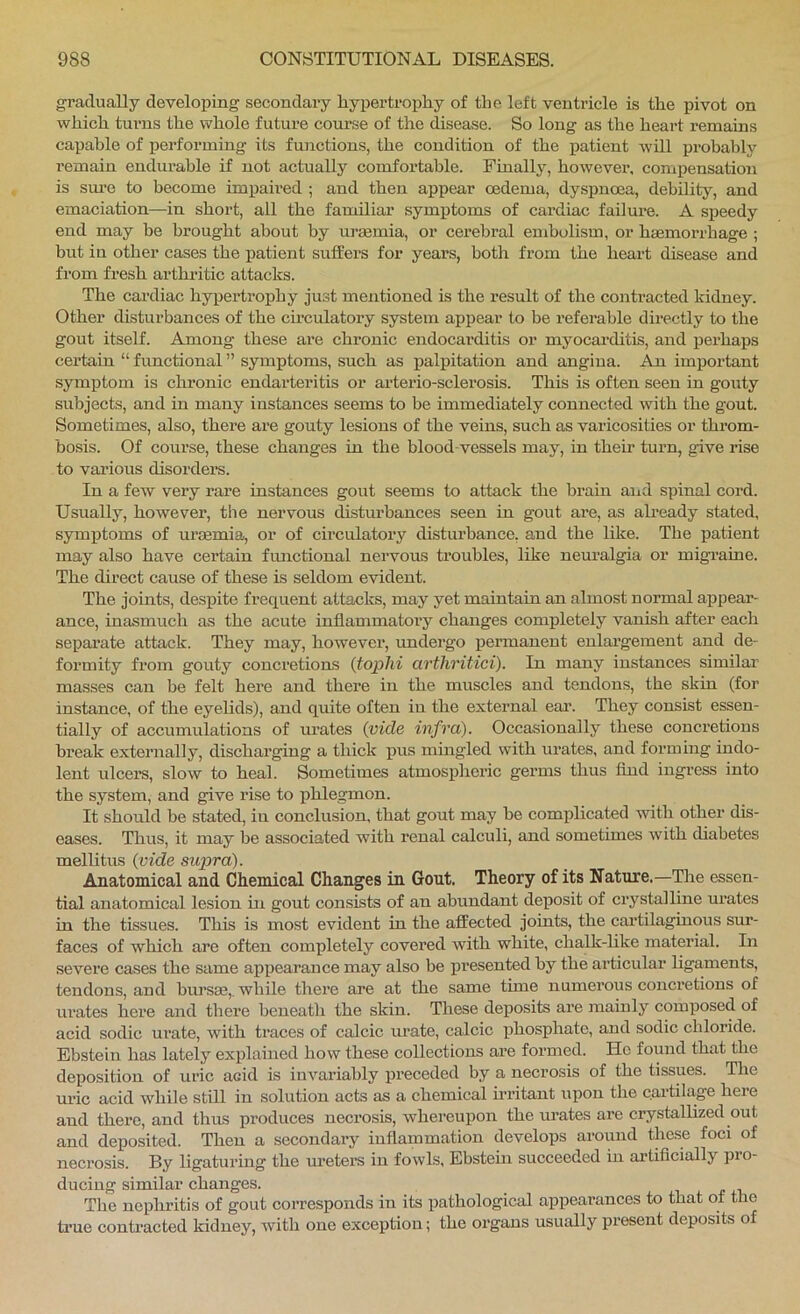gradually developing secondary hypertrophy of the left ventricle is the pivot on which turns the whole future course of the disease. So long as the heart remains capable of pei’forming its functions, the condition of the iDatient will probably remain endurable if not actually comfortable. Finally, however, comiiensation is sm’e to become impaired ; and then appear oedema, dyspnoea, debility, and emaciation—in short, all the familiar symptoms of cardiac failure. A speedy end may be brought about by m-semia, or cerebral embolism, or hemorrhage ; but in other cases the patient suffers for years, both from the heart disease and from fresh arthritic attacks. The cardiac hypertrophy just mentioned is the result of the contracted kidney. Other disturbances of the circulatory system appear to be referable directly to the gout itself. Among these are chronic endocarditis or myocarditis, and ijerhaps certain “ functional ” symptoms, such as palpitation and angina. An important symptom is chi’onic endarteritis or arterio-sclerosis. This is often seen in gouty subjects, and in many instances seems to be immediately connected with the gout. Sometimes, also, there are gouty lesions of the veins, such as varicosities or throm- bosis. Of coui’se, these changes in the blood-vessels may, in their turn, give rise to various disorders. In a few very rare instances gout seems to attack the brain aiad spinal cord. Usually, however, tbe nervous disturbances seen in gout are, as already stated, symptoms of uraemia, or of circulatory disturbance, and the like. The patient may also have certain fimctional nervous troubles, like neuralgia or migraine. The direct cause of these is seldom evident. The joints, despite frequent attacks, may yet maintain an almost normal appear- ance, inasmuch as the acute inflammatory changes completely vanish after each separate attack. They may, however, undergo permanent enlargement and de- formity from gouty concretions {tophi arthritici). In many instances similar masses can be felt bere and there in the muscles and tendons, the skin (for instance, of the eyelids), and quite often in the external ear. They consist essen- tially of accumulations of urates (pide infra). Occasionally these concretions break externally, discharging a thick pus mingled with urates, and forming indo- lent ulcers, slow to heal. Sometimes atmosphex’ic gei’ms thus find ingress into the system, and give rise to phlegmon. It should be stated, in conclusion, that gout may be complicated with other dis- eases. Thus, it may be associated witb renal calculi, and sometimes with diabetes mellitus {vide supra). Anatomical and Chemical Changes in Gout. Theory of its Nature.—The essen- tial anatomical lesion m gout consists of an abundant deposit of crystalline urates in tbe tissues. This is most evident in the affected joints, the cartilaginous sur- faces of which are often completely covered with white, chalk-hke material. In severe cases the same appearance may also be presented by the articular hgaments, tendons, and bursm,. while thei'e are at the same tune numerous concretions of urates hei*e and there beneath the skin. These deposits are mainly composed of acid sodic ui’ate, Avith traces of calcic ux’ate, calcic xxhosphate, and sodic chloride. Ebstein has lately explained bow these collections are formed. Ho found that the deposition of uric acid is inAmriably preceded by a necrosis of the tissues. The uric acid while still in solution acts as a chemical irritant upon the cartilage here and there, and thus produces necrosis, whereupon the urates are crystalhzed out and deposited. Then a secondary inflammation develops around these foci of necrosis. By ligaturing the m-eters in fowls, Ebstehi succeeded in artificially pro- ducing similar changes. The nephritis of gout corresponds in its pathological appearances to that of the time contracted kidney, with one exception; the organs usually present deposits of